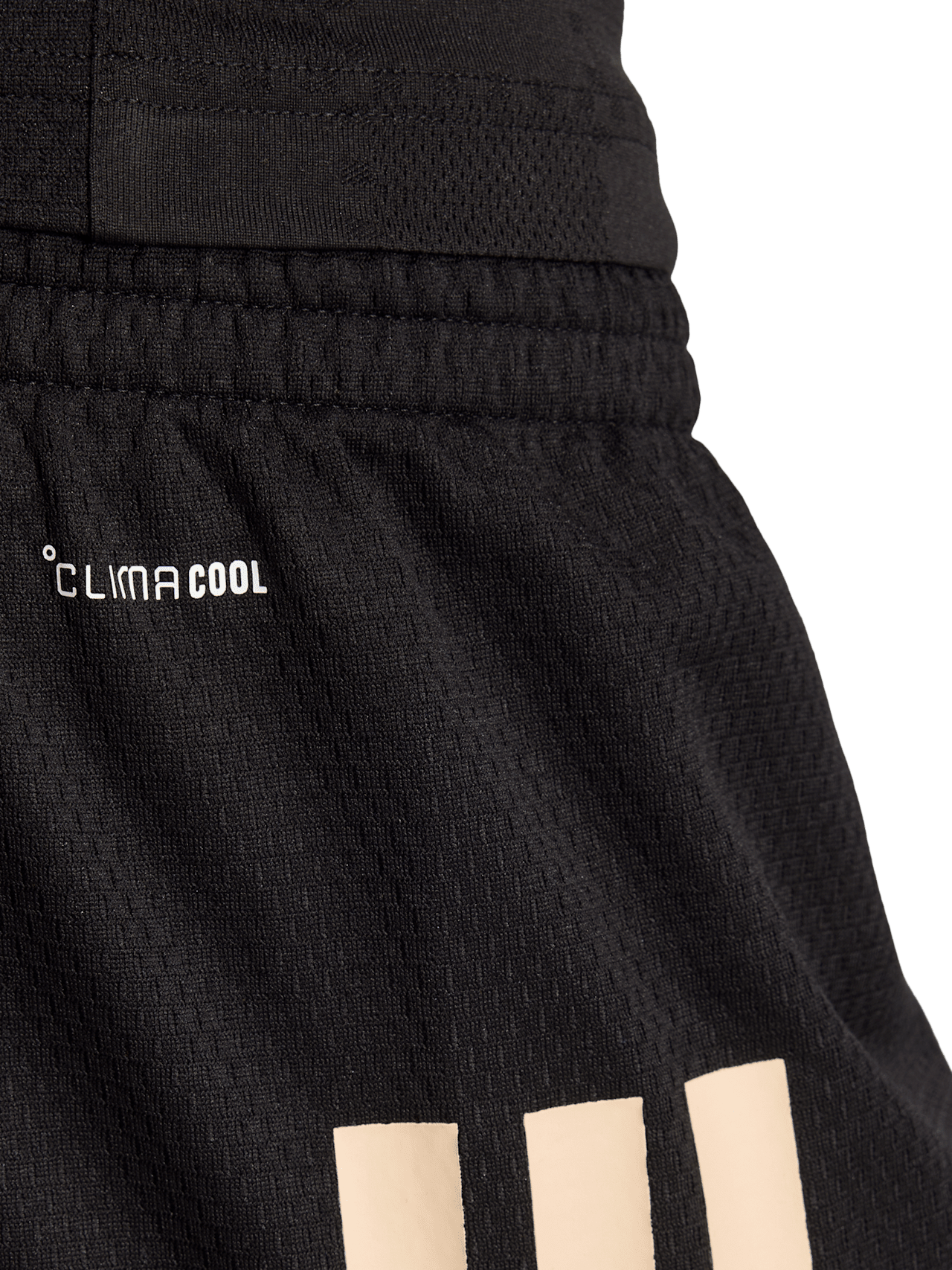 Basketball Auth. Short 3rd 25-26 detail 5