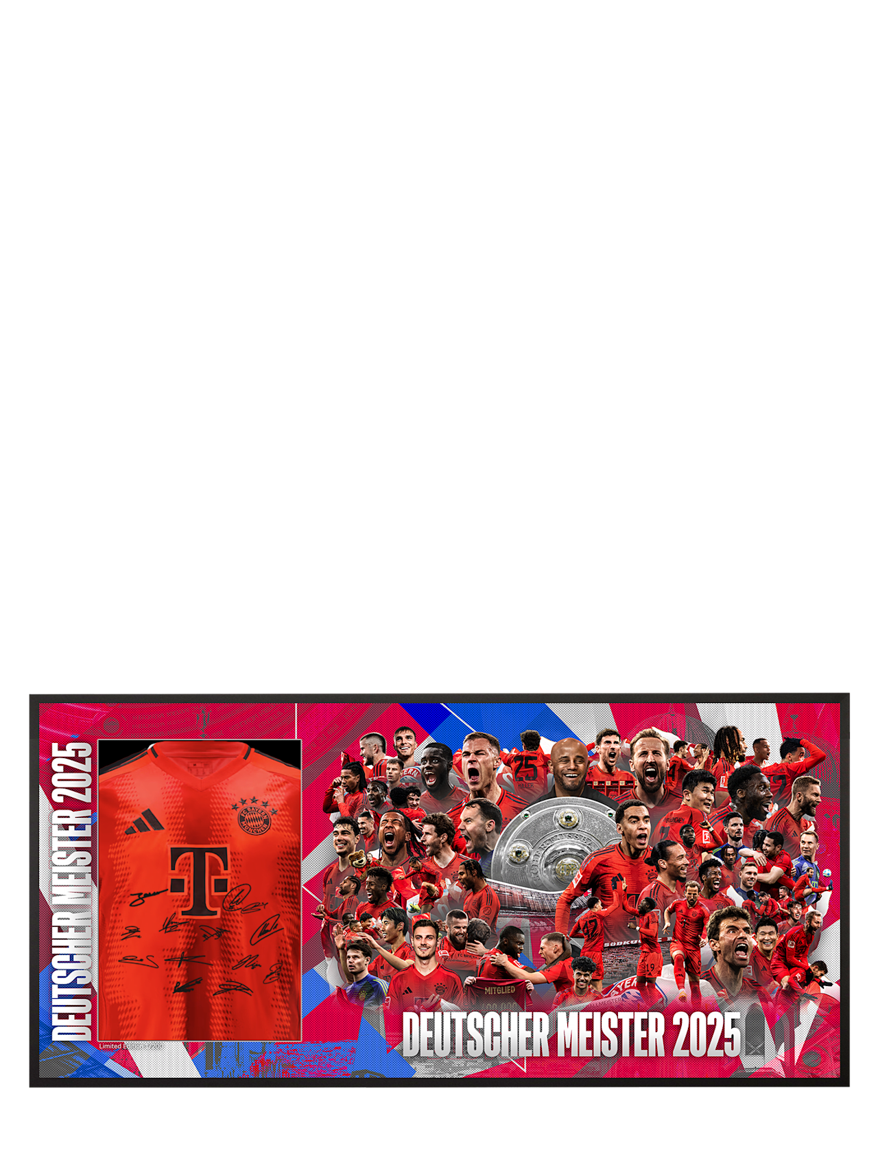 Trikotrahmen Team 2024-25 Ltd. Edition detail 1