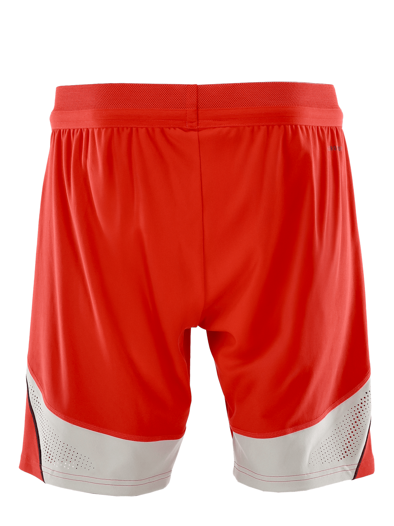 Pantalones cortos de entrenamiento Teamline detail 2