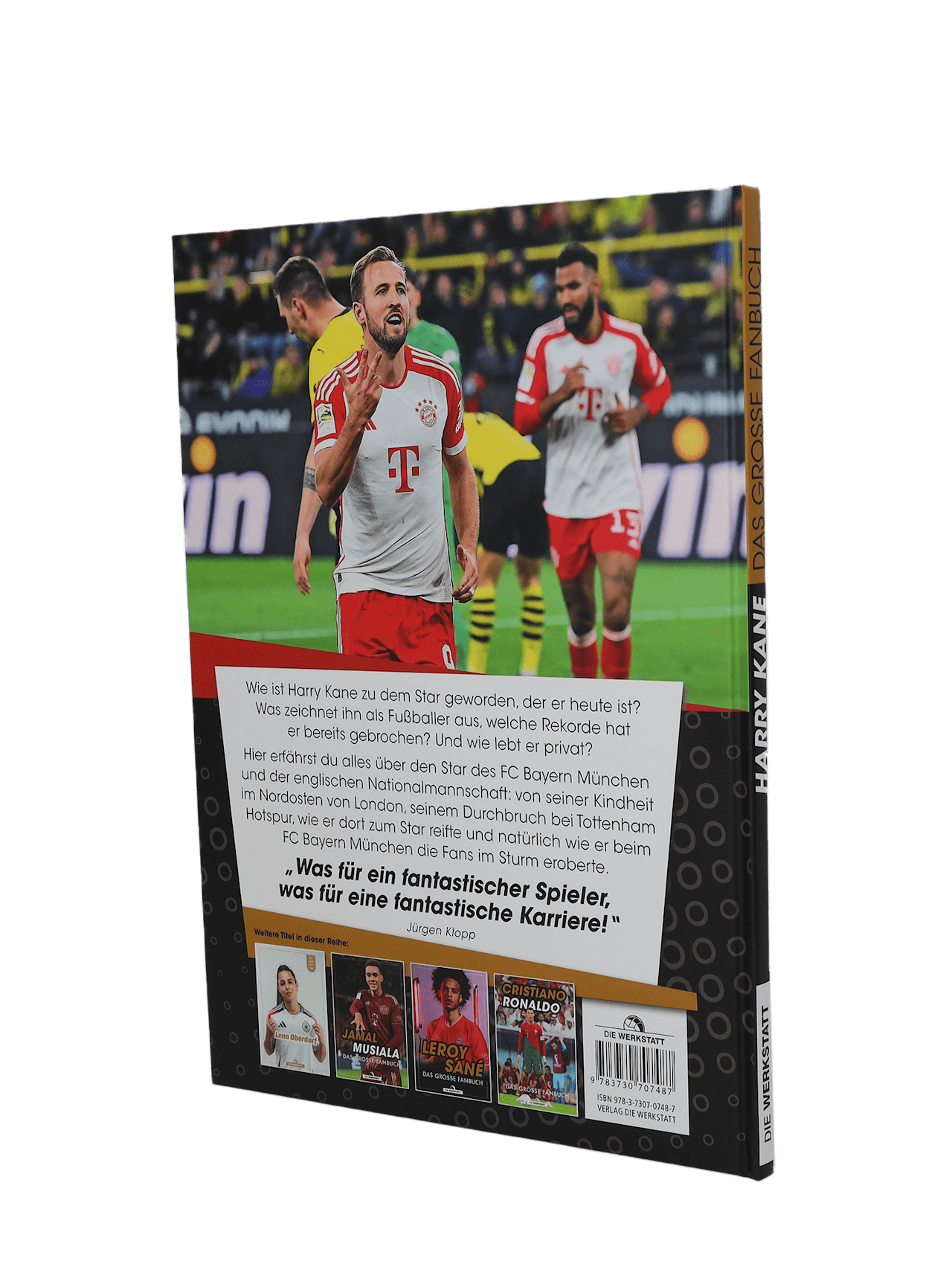 Harry Kane - Das große Fanbuch detail 2