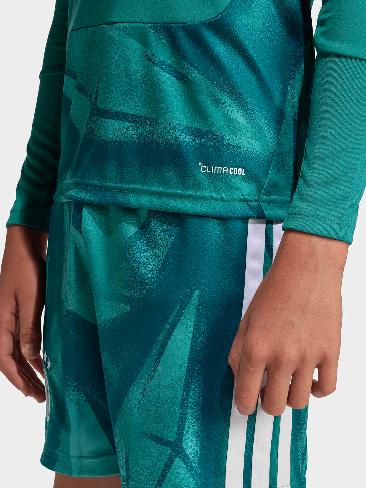 Camiseta de manga larga de portero local de la DFB detail 5