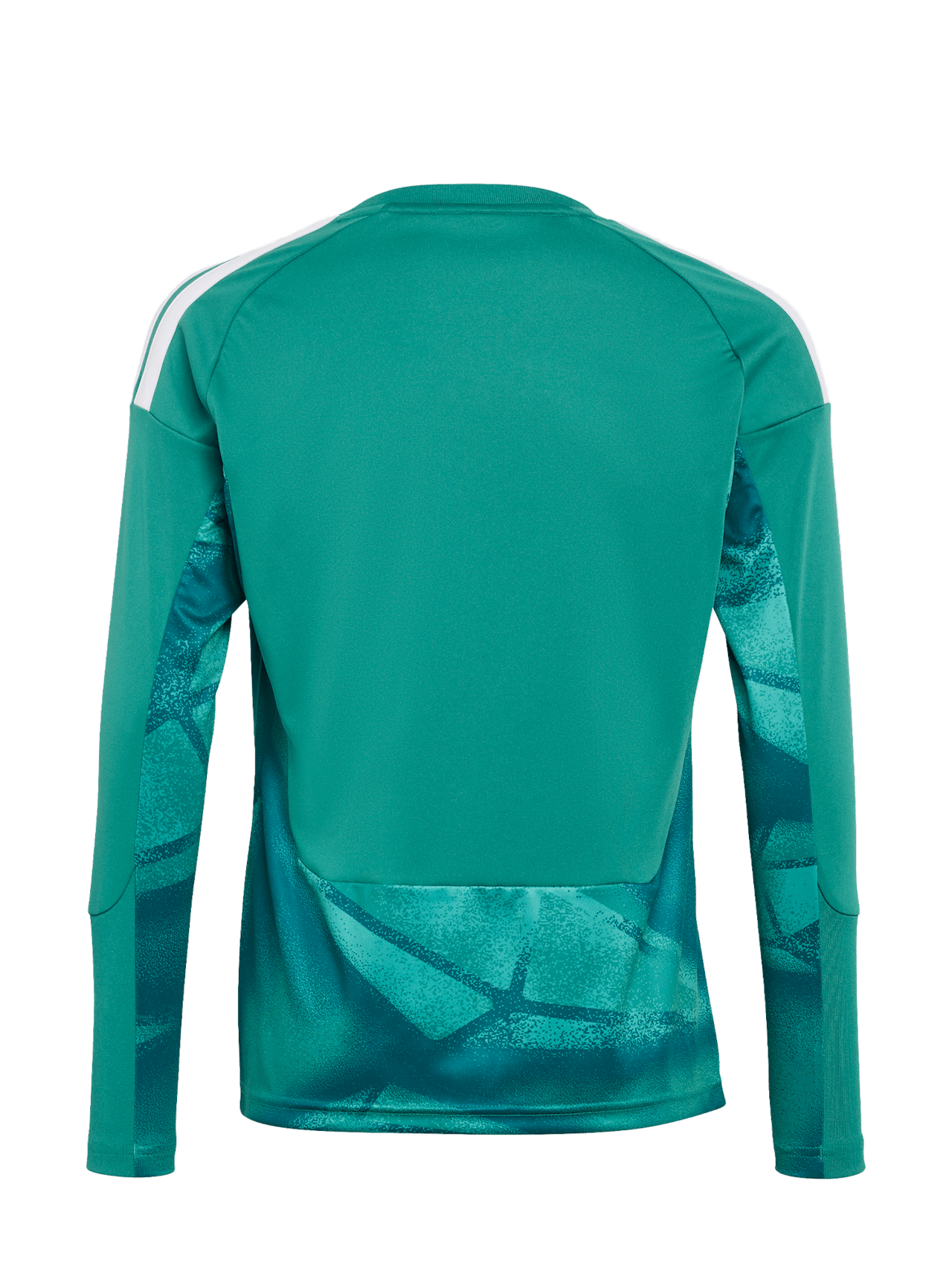 Camiseta de manga larga de portero local de la DFB detail 7