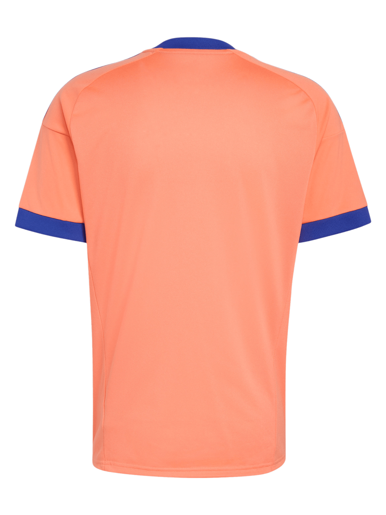 Jersey DFB Goalkeeper Away detail 2