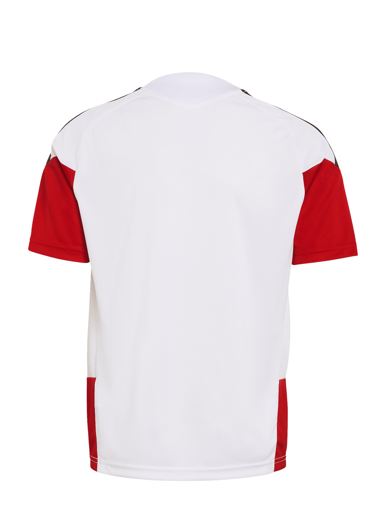 Trainingsshirt DFB Home detail 2