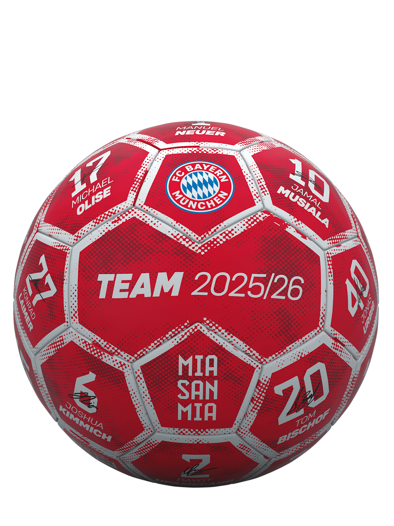 Fußball Signature 2025-26 detail 1