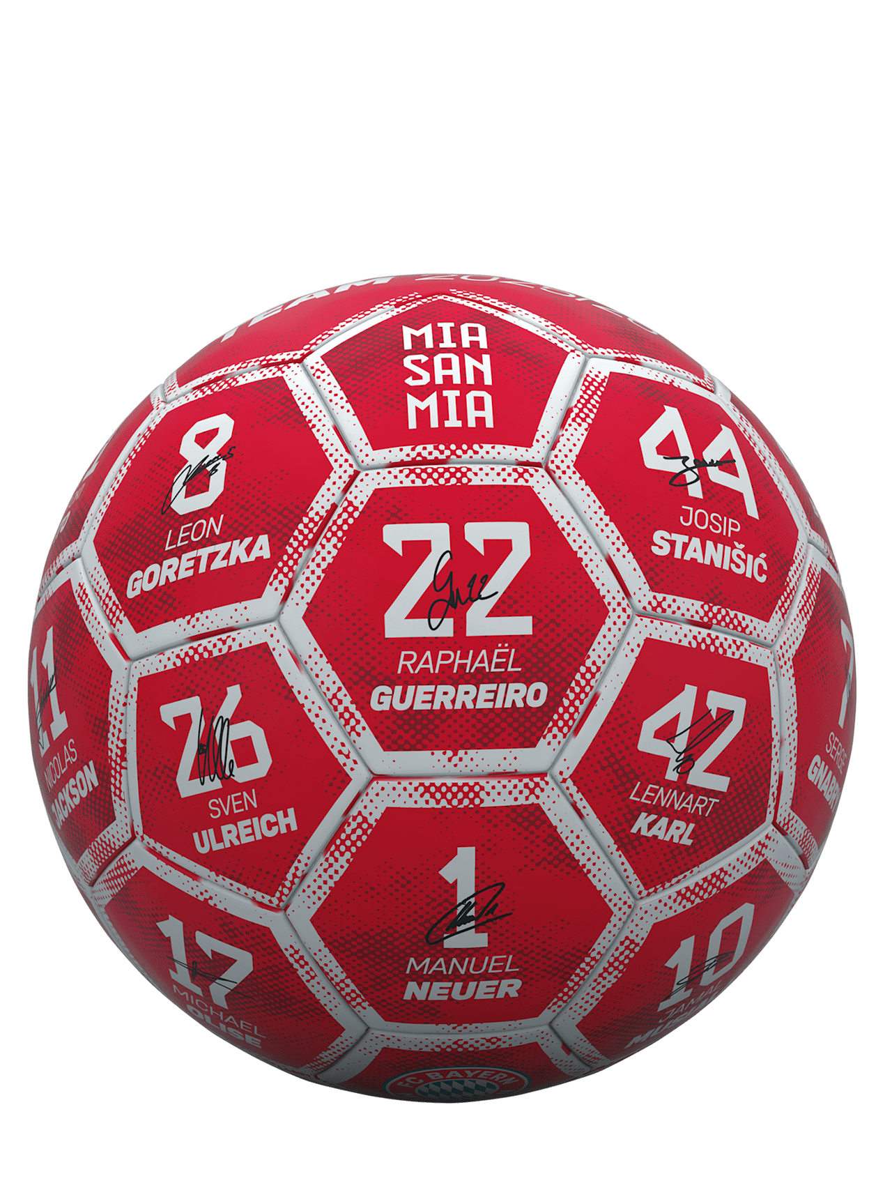 Fußball Signature 2025-26 detail 2