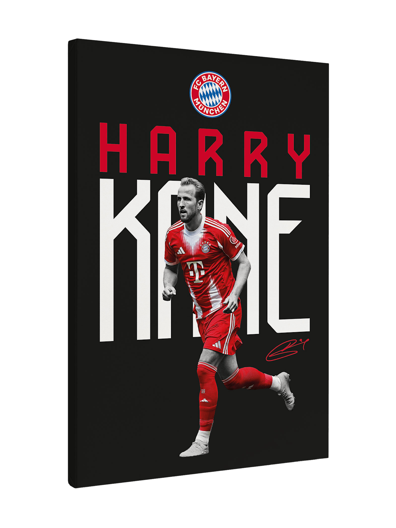 Harry Kane Leinwand Kane 40x60 cm 1