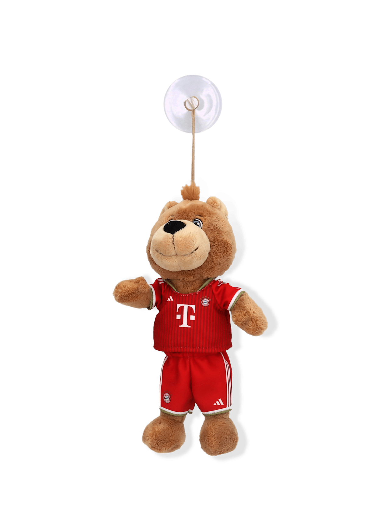 Berni 20 cm 2026-27 detail 2