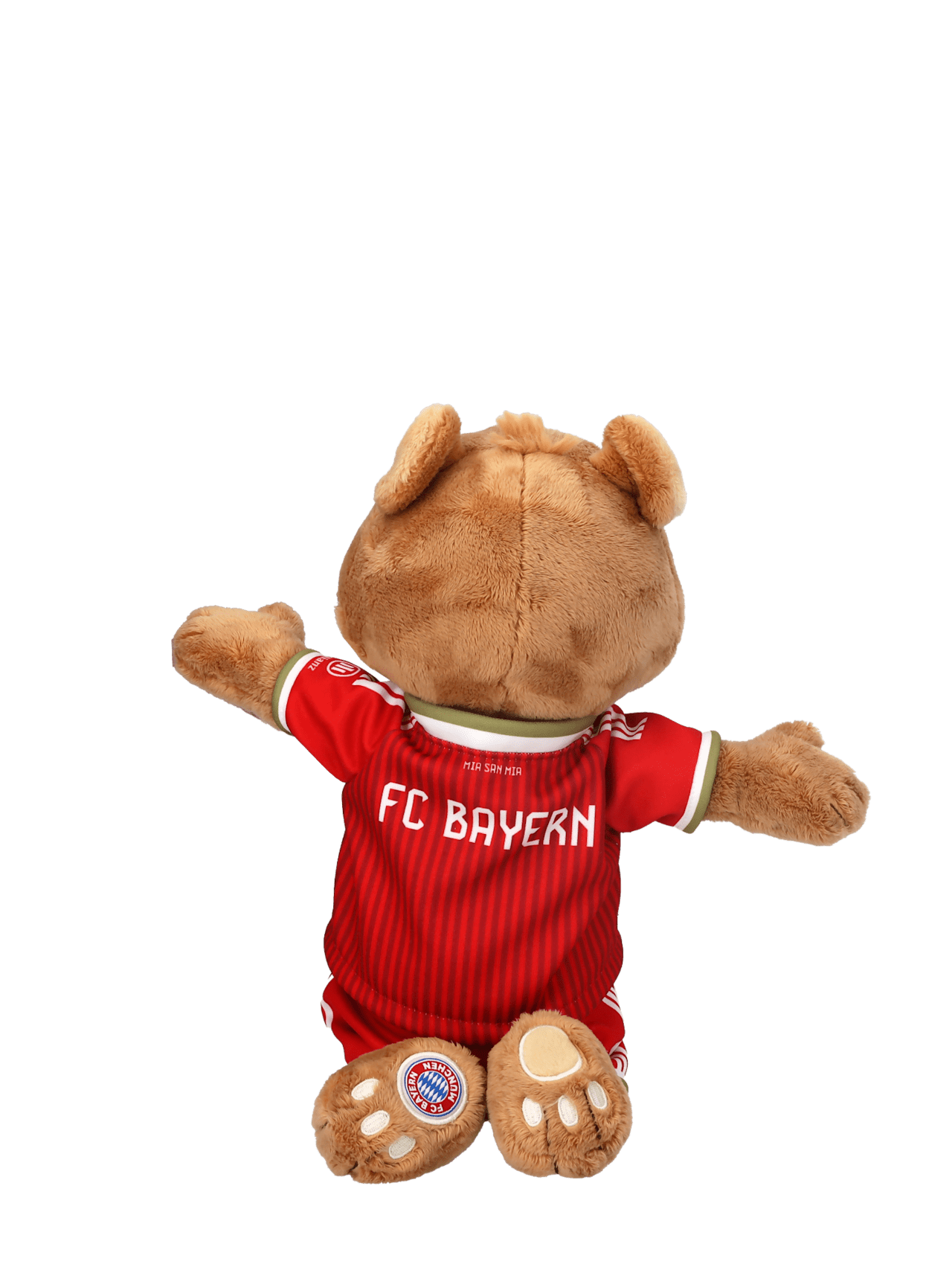 Berni 35 cm 2026-27 detail 4