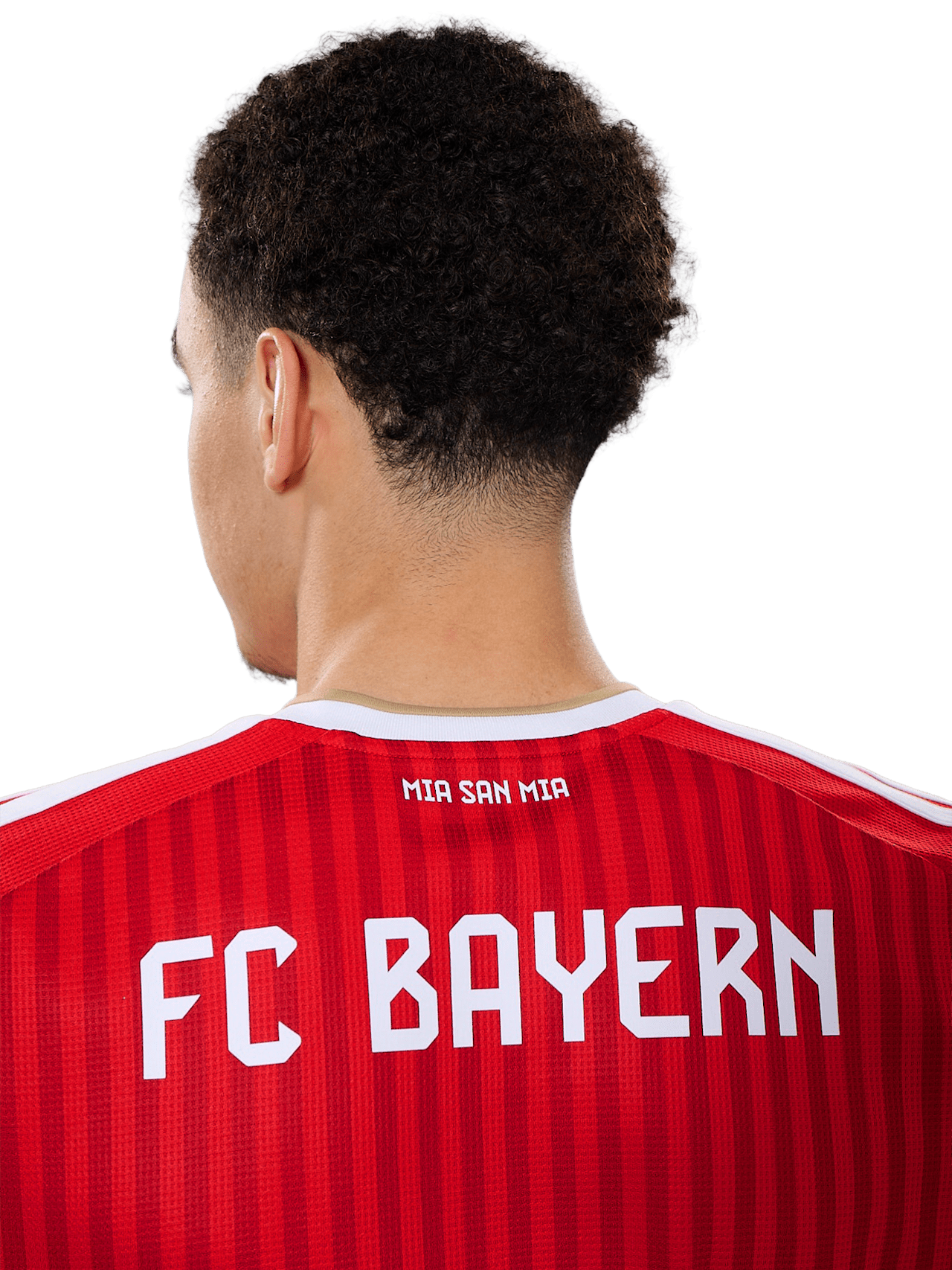 Jersey Home 26-27 detail 3