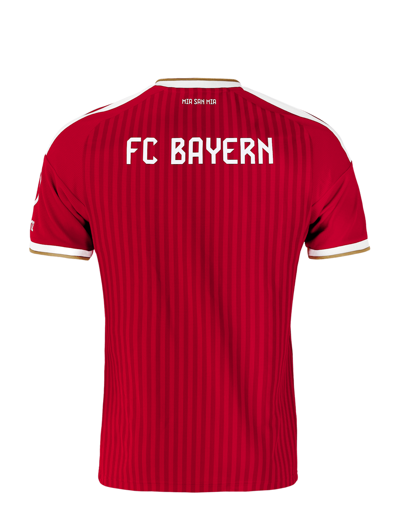 Jersey Home 26-27 detail 6