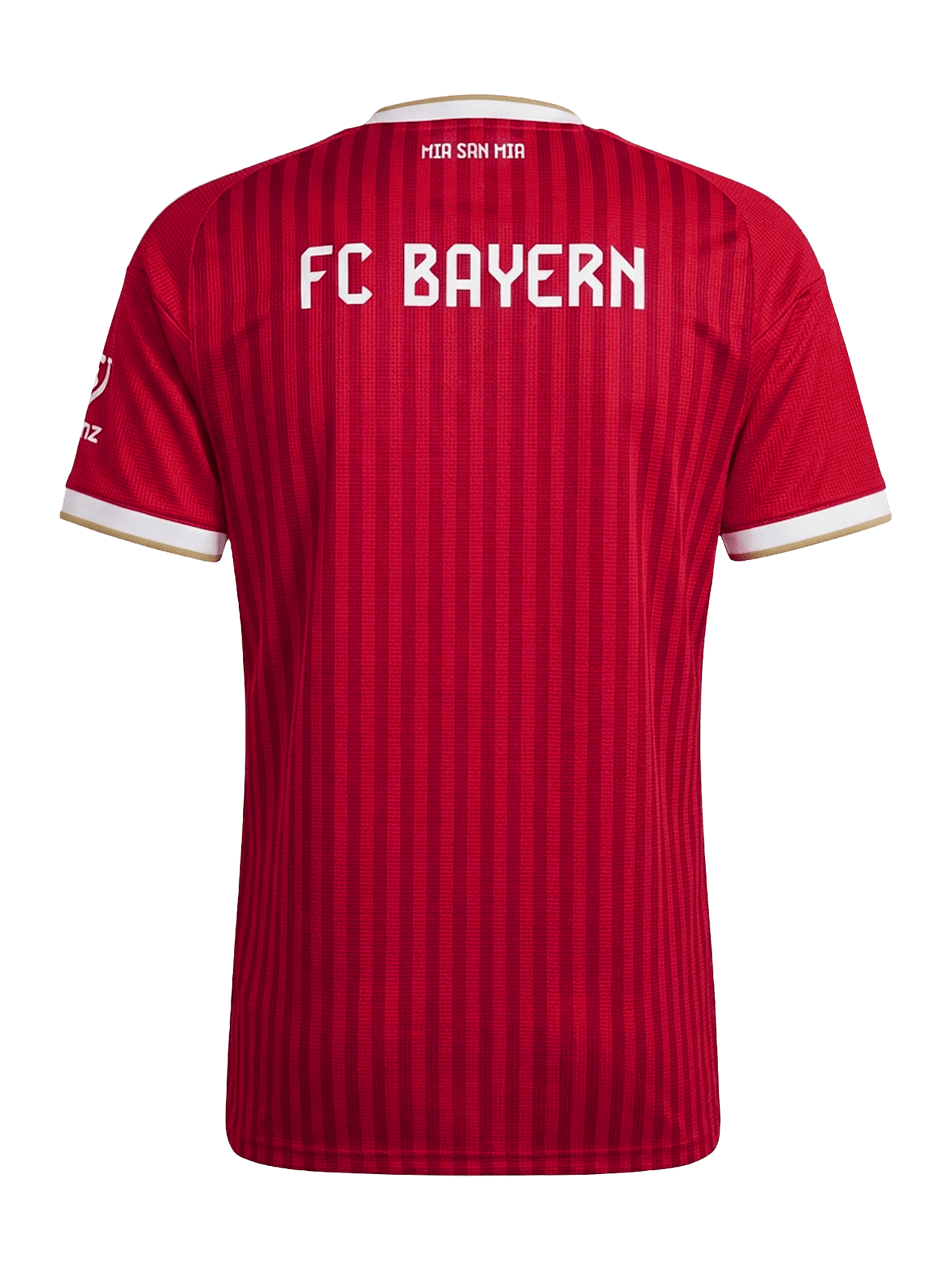 Jersey Home 26-27 detail 6