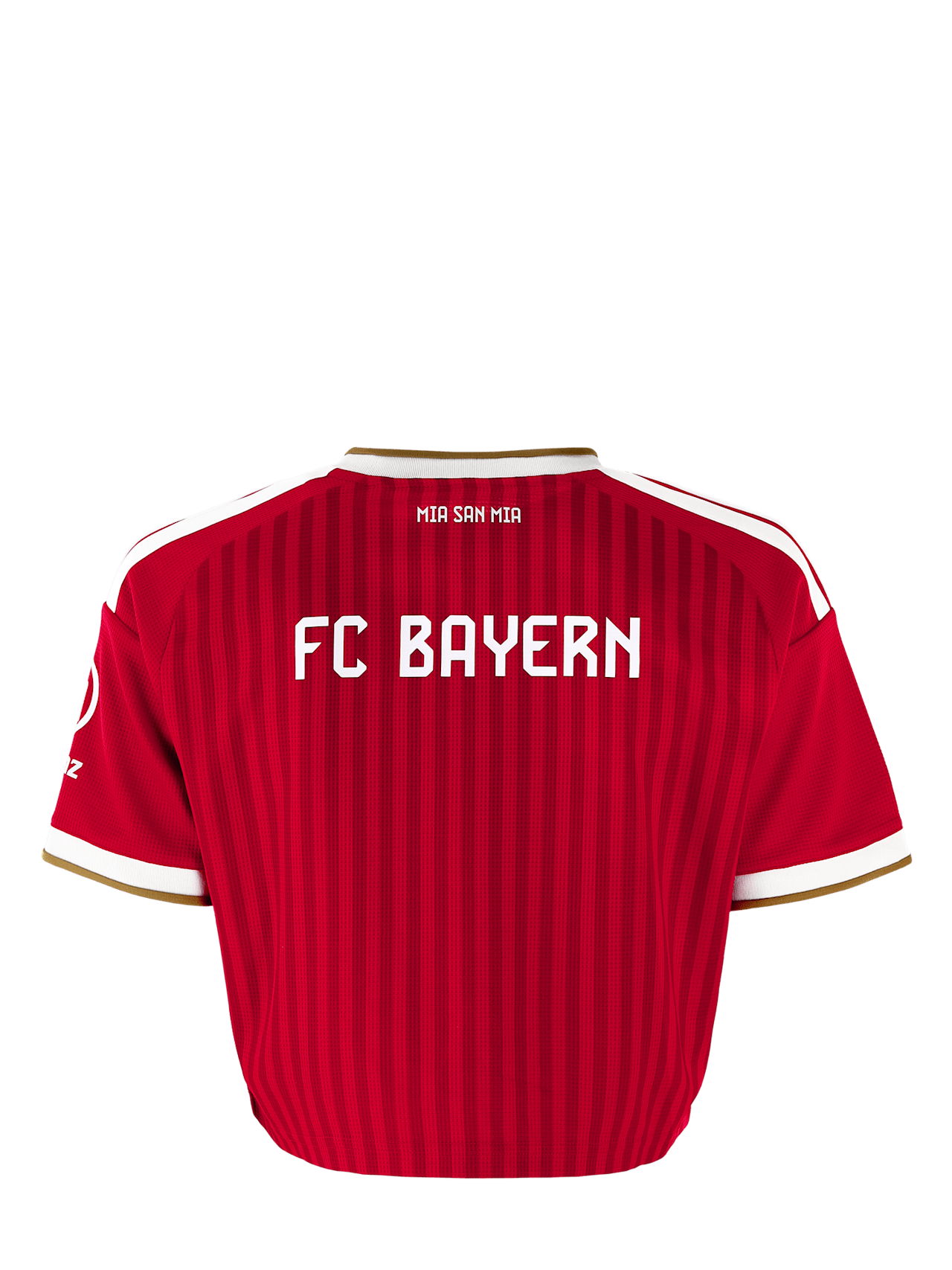 Cropped Jersey Home 26-27 detail 6