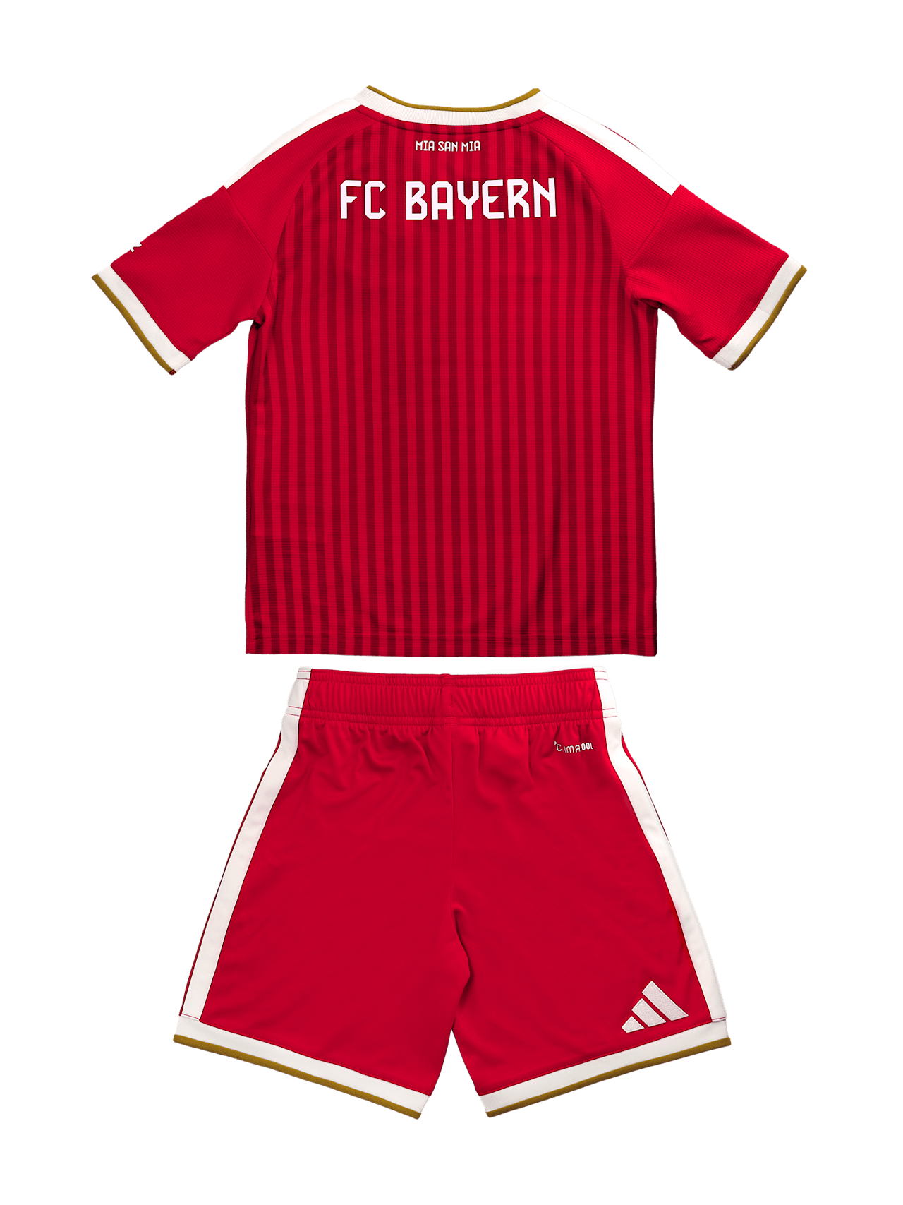 Mini Kit Jersey Home 26-27 detail 5