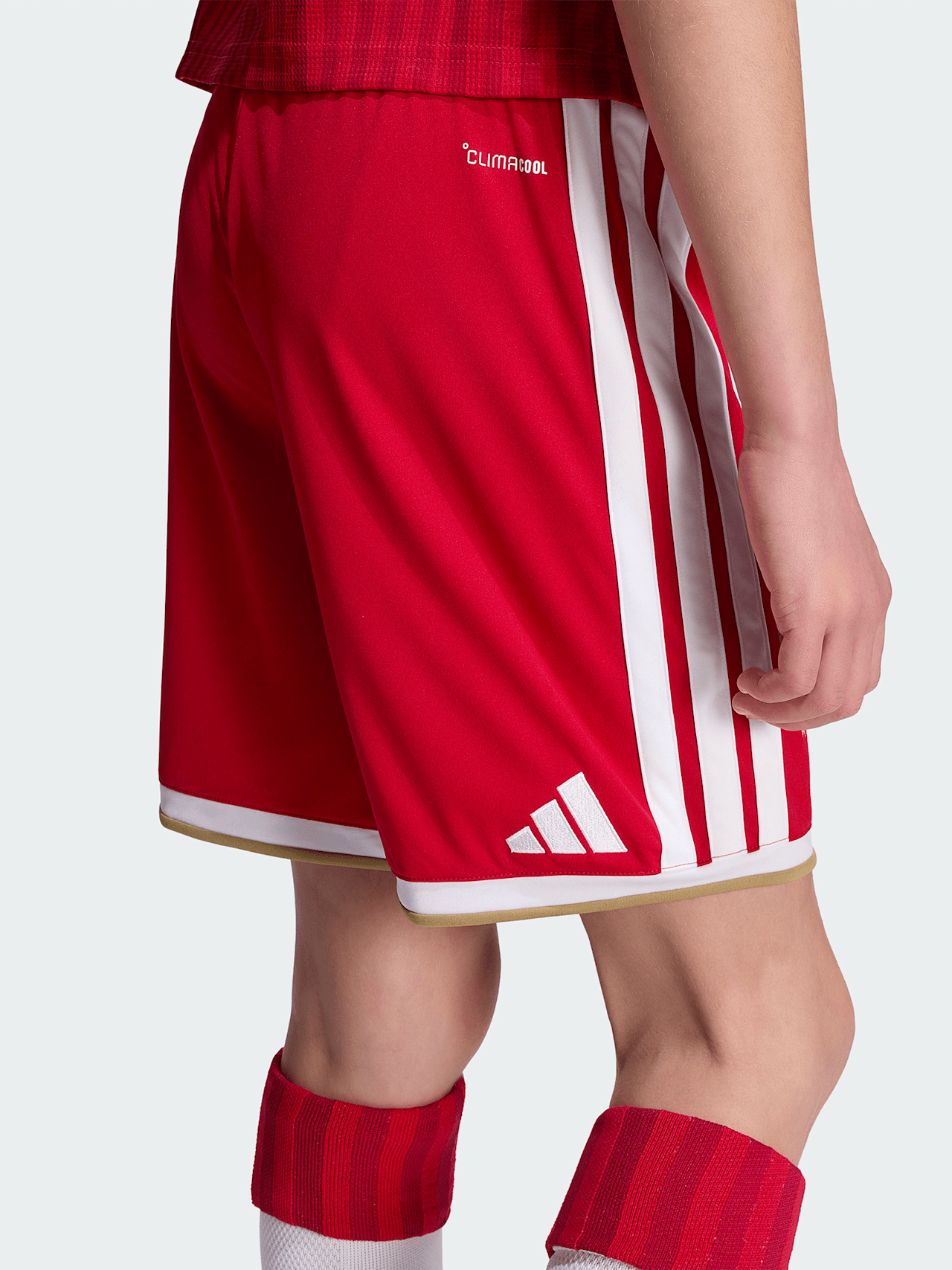 Shorts Home 26-27 detail 3