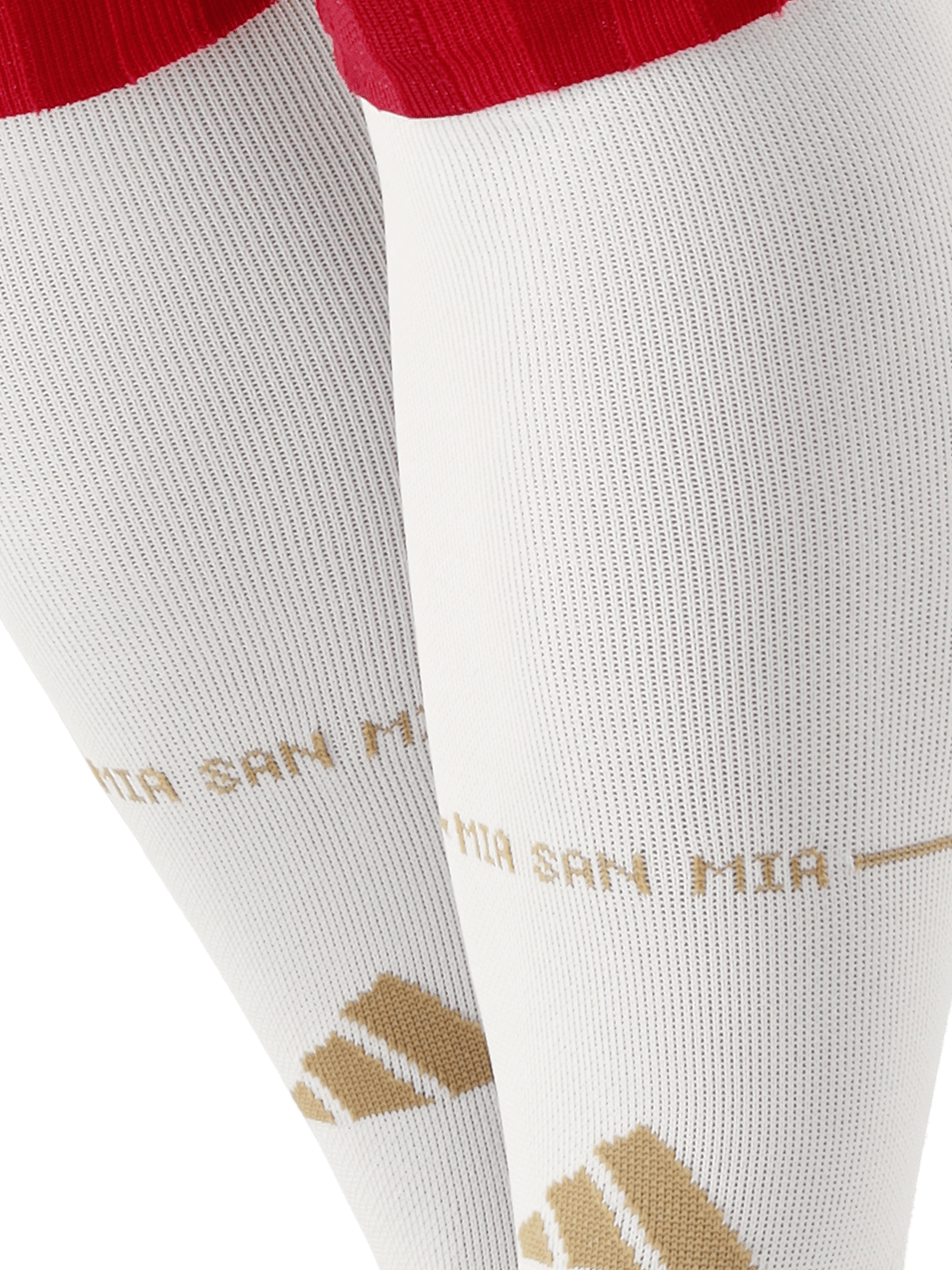 Socks Home  26-27 detail 2