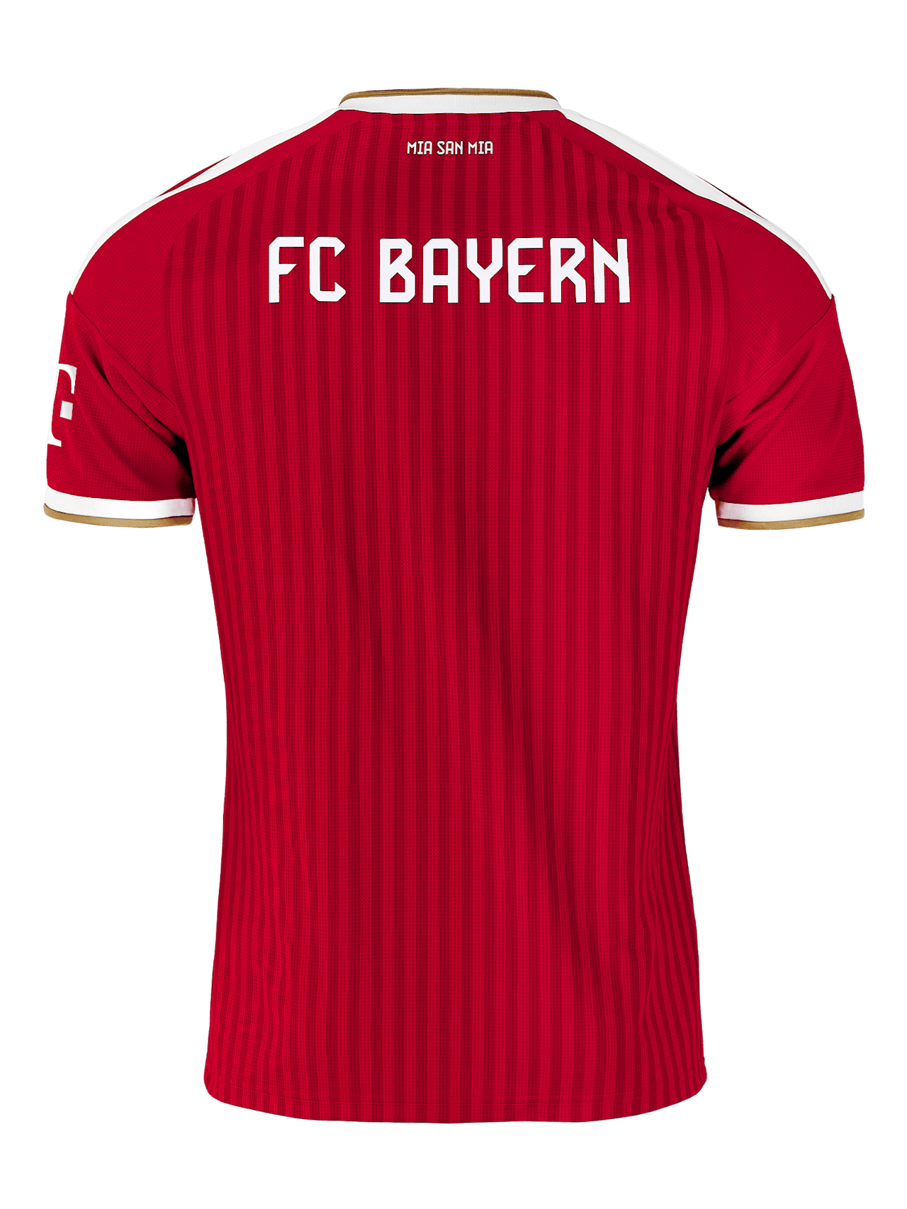 Women’s Jersey Home 26-27 detail 5