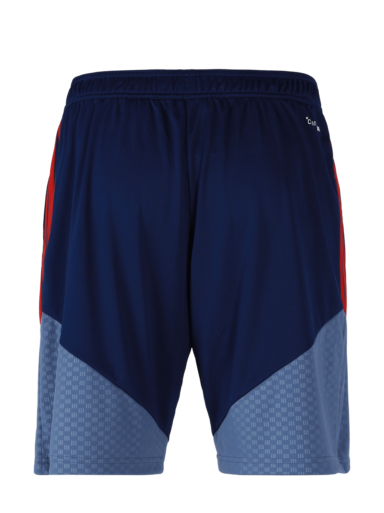 Teamline Training Shorts detail 6