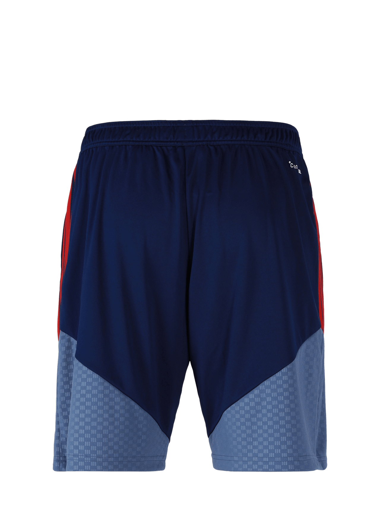 Teamline Training Shorts detail 5