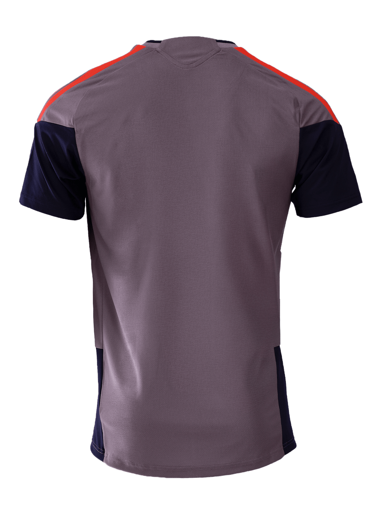 Authentic Trainingsshirt UCL Teamline detail 2