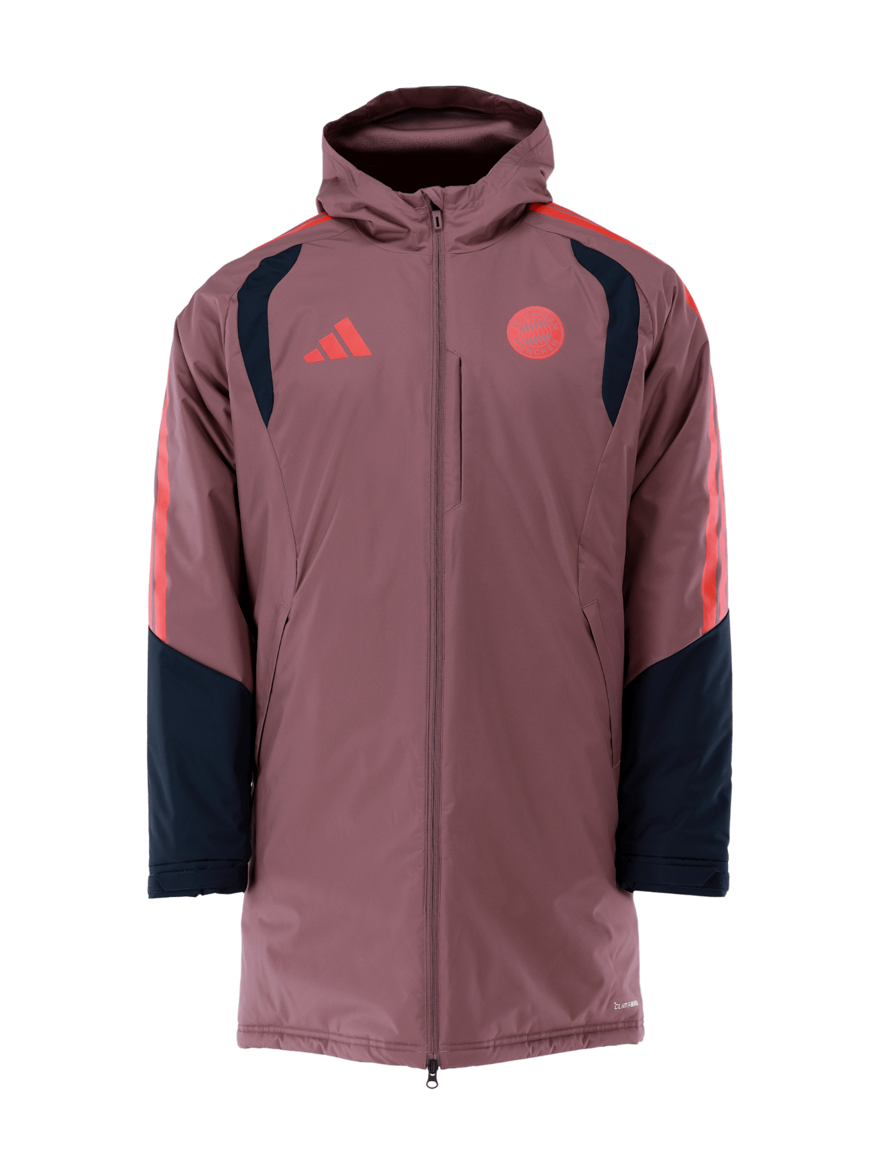 Authentic Winter Jacket UCL Teamline detail 1
