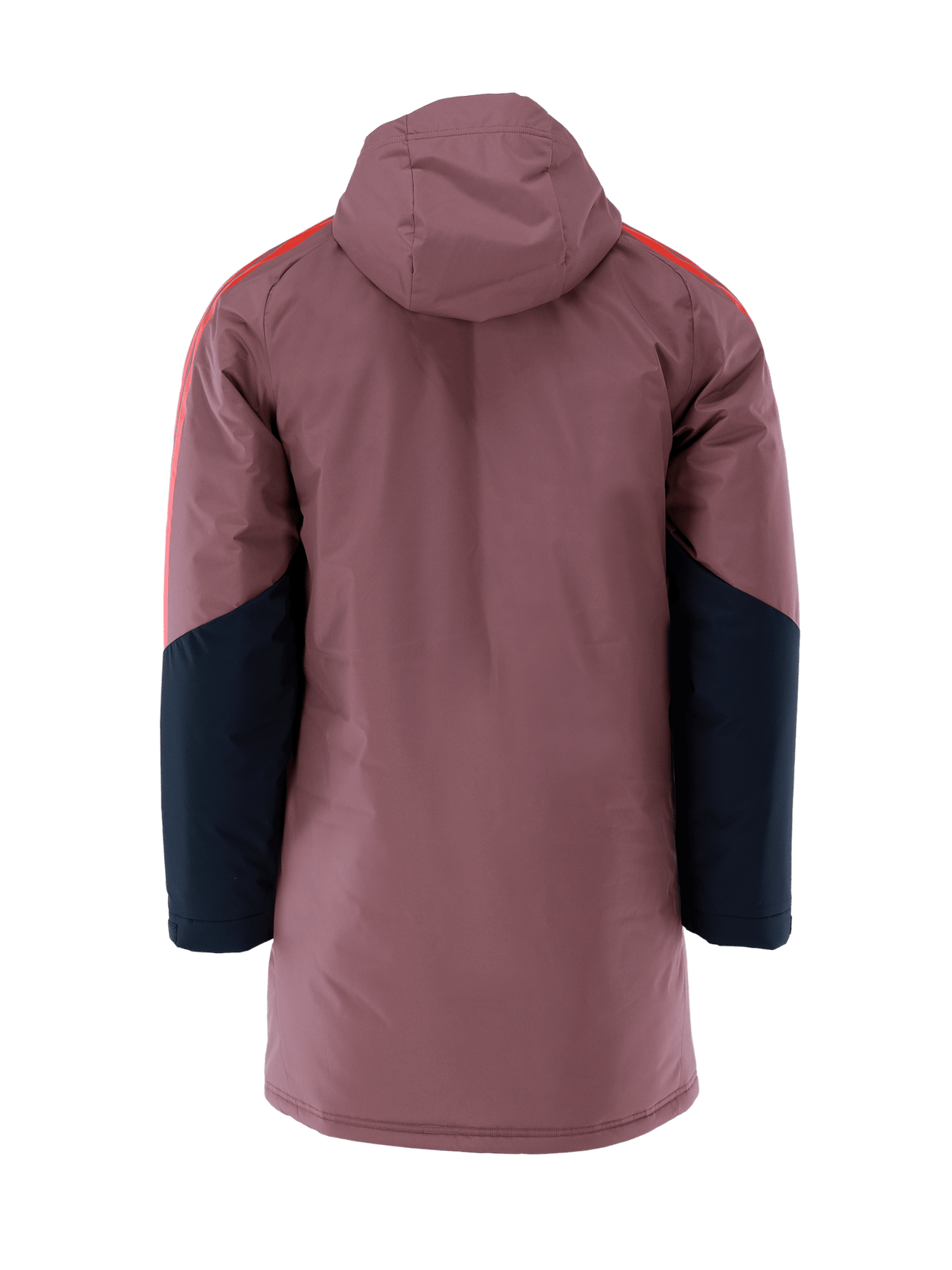 Authentic Winter Jacket UCL Teamline detail 2