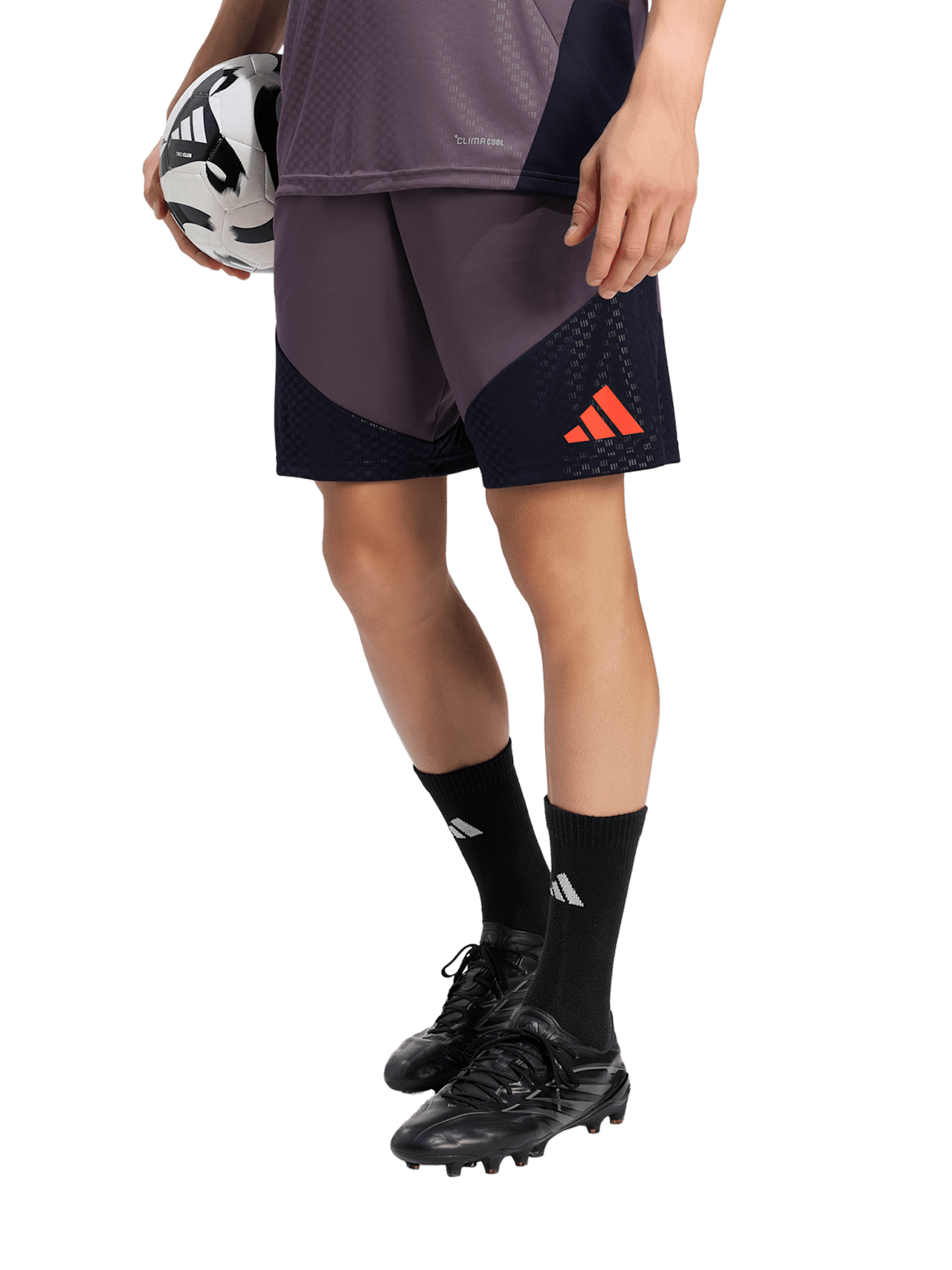 Teamline Training Shorts UCL detail 1