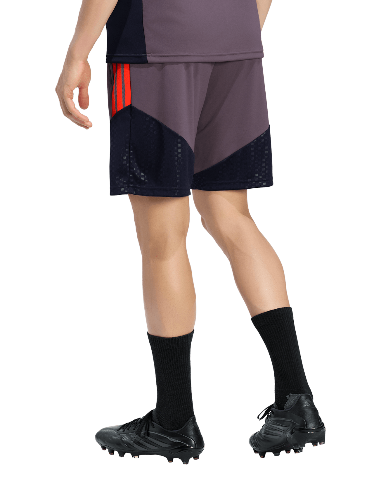 Teamline Training Shorts UCL detail 2