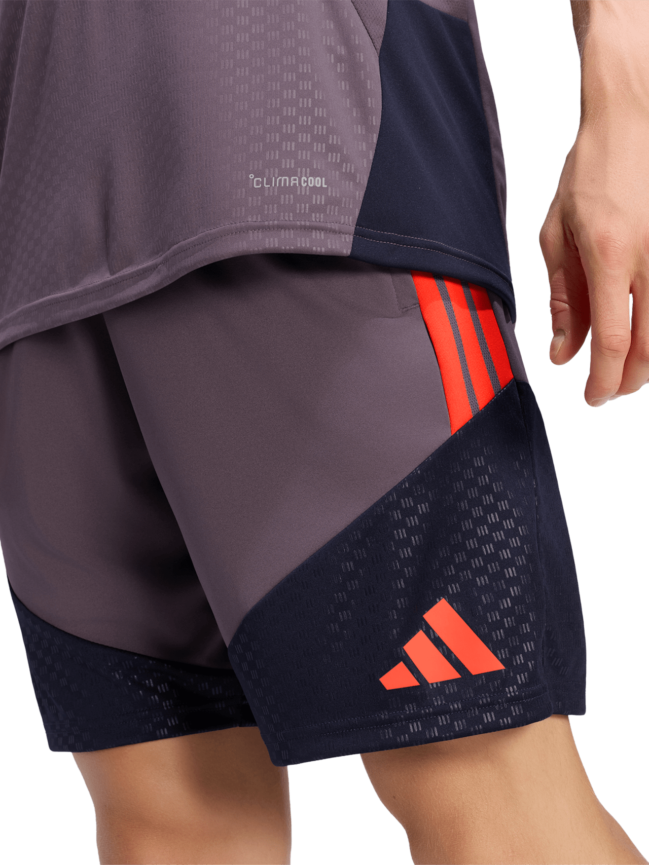 Teamline Training Shorts UCL detail 4