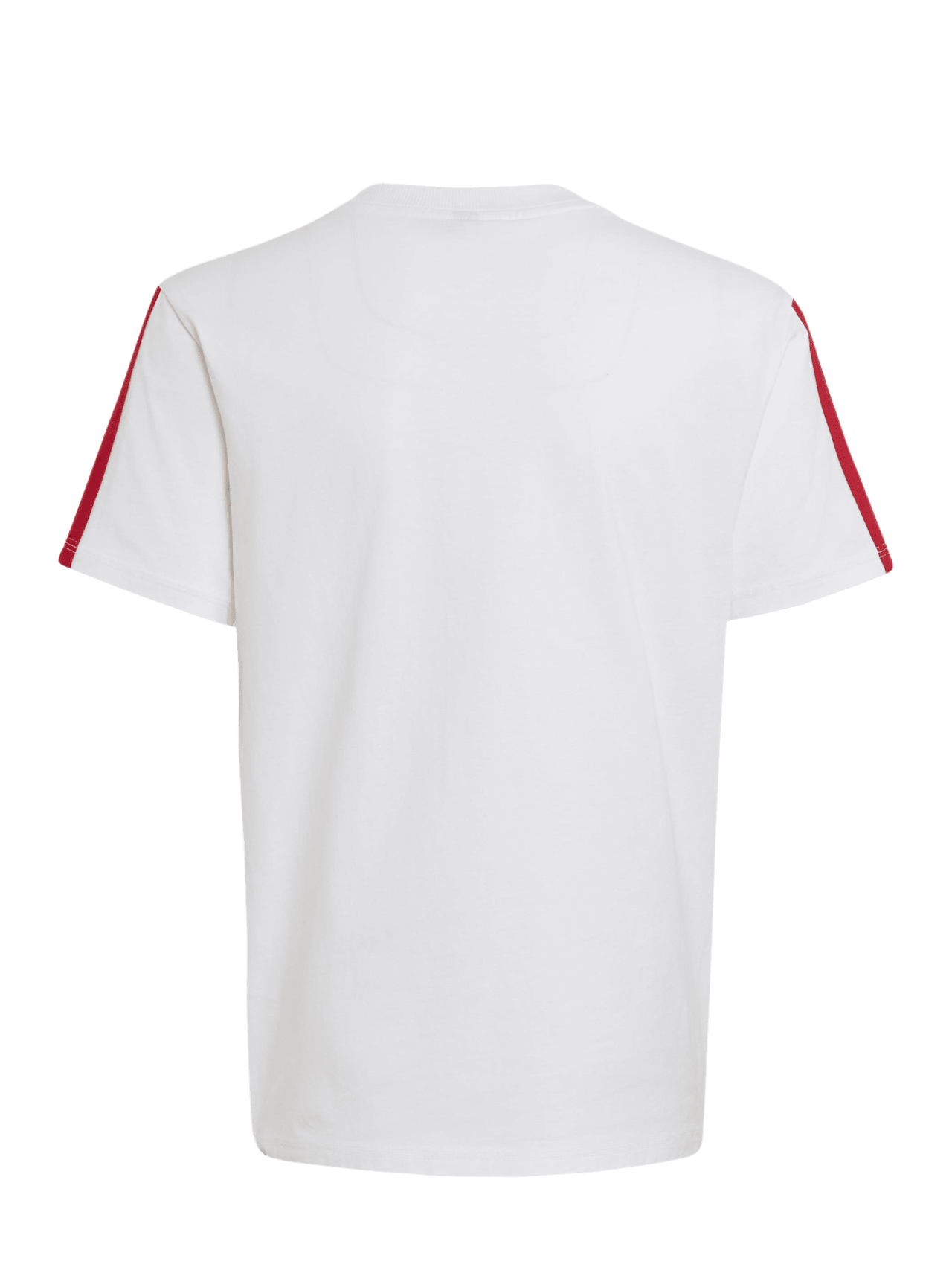T-shirt DNA detail 2