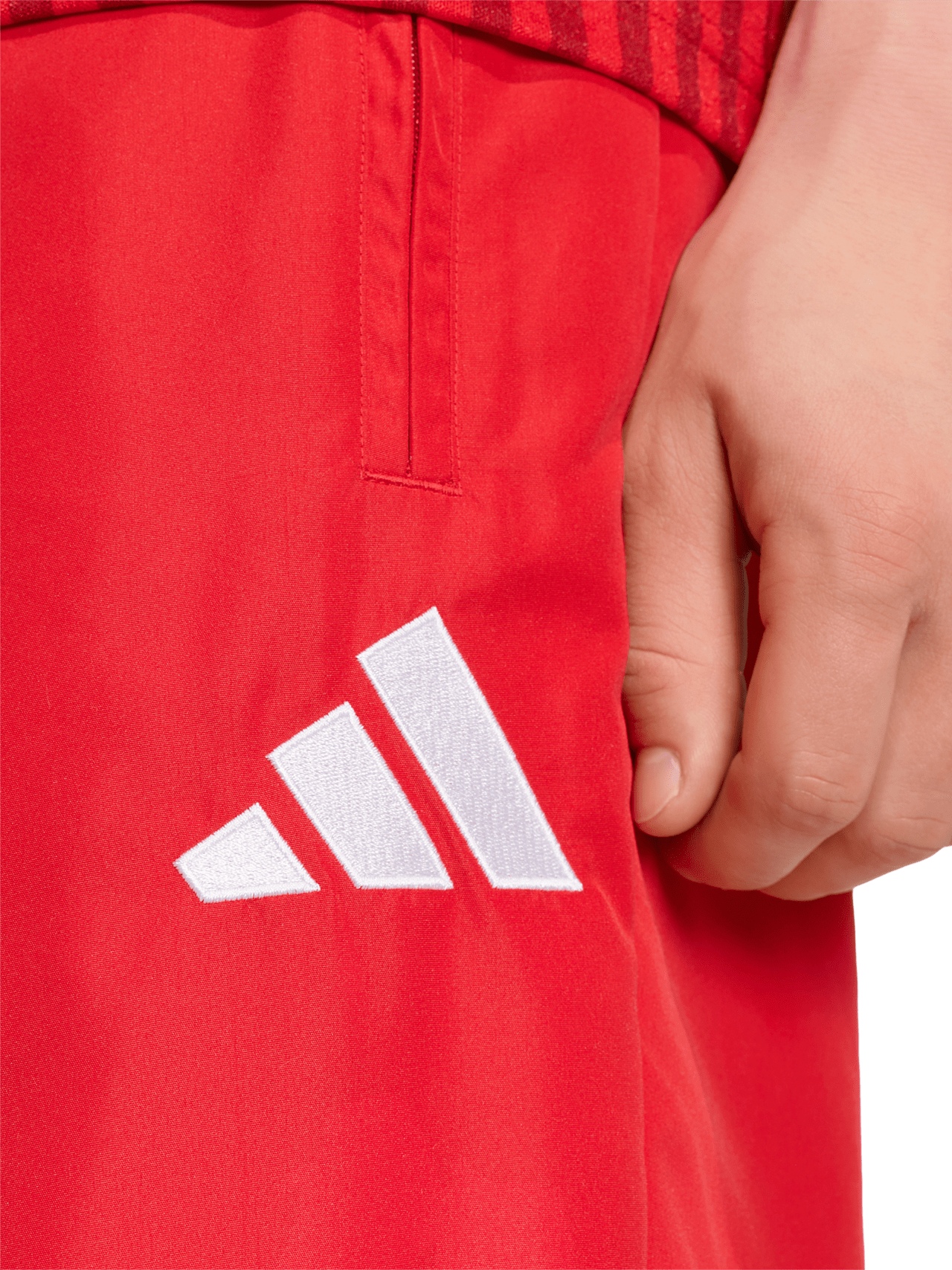 Pant Stadium detail 5