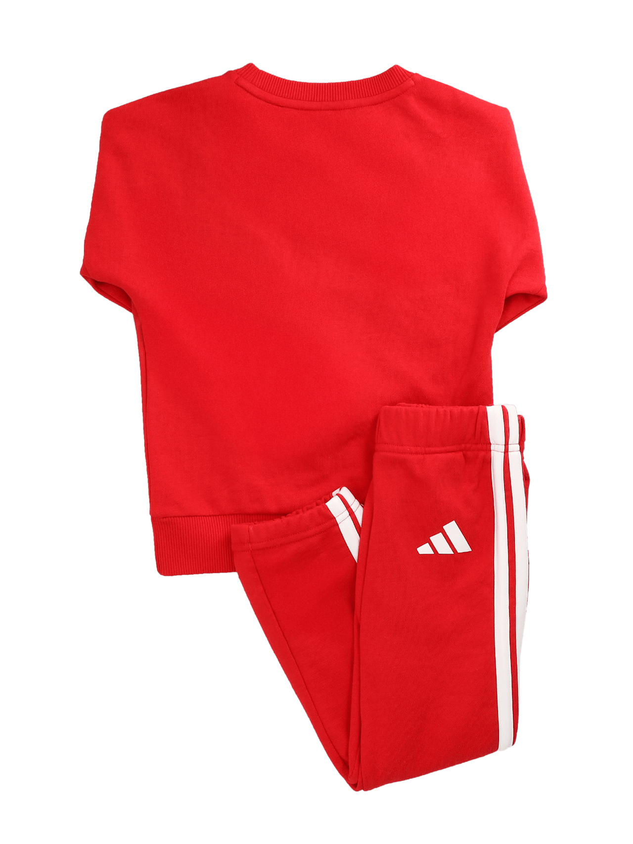 Jogger DNA detail 2