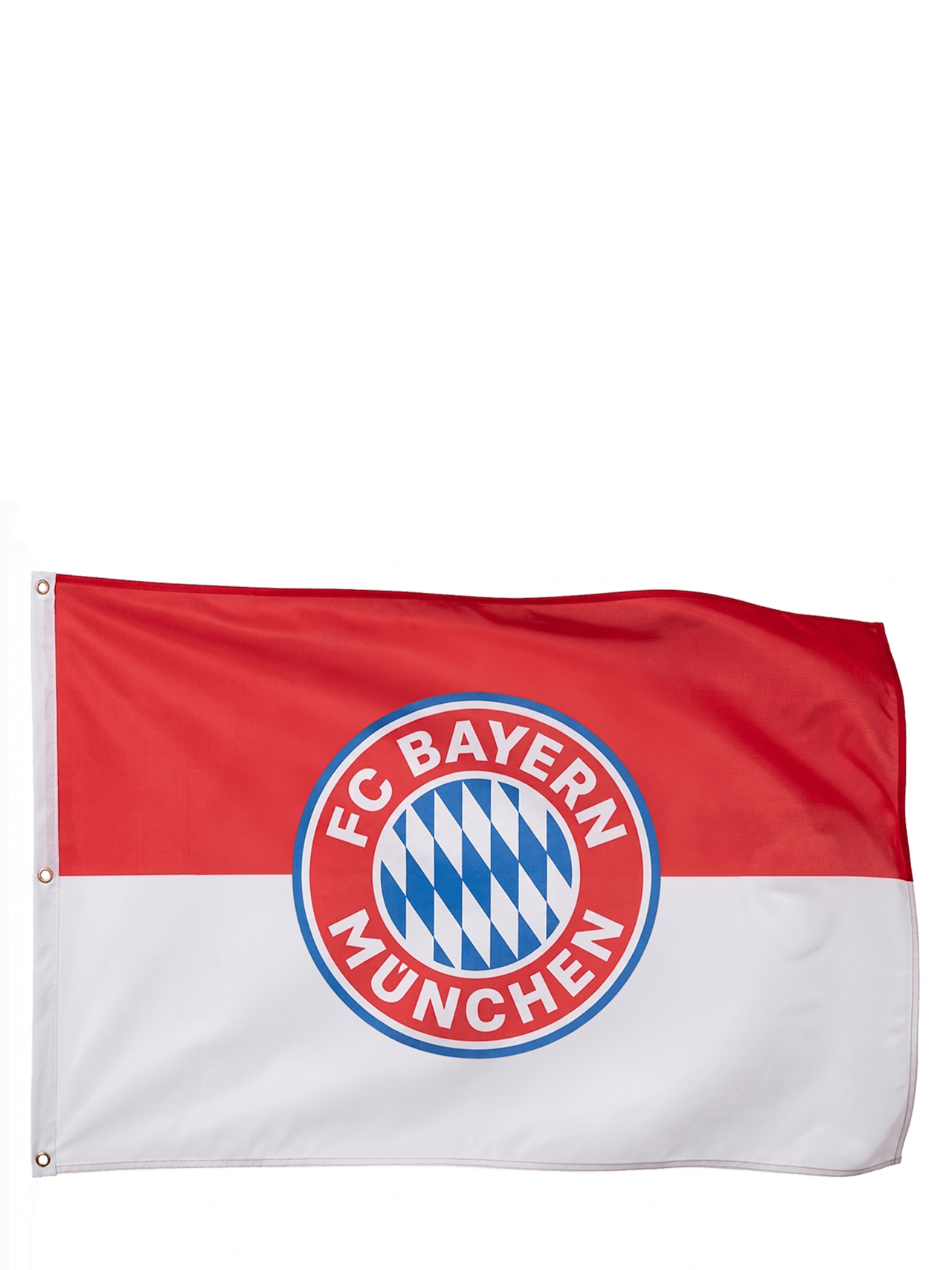 Flag Logo 180x120 cm 1