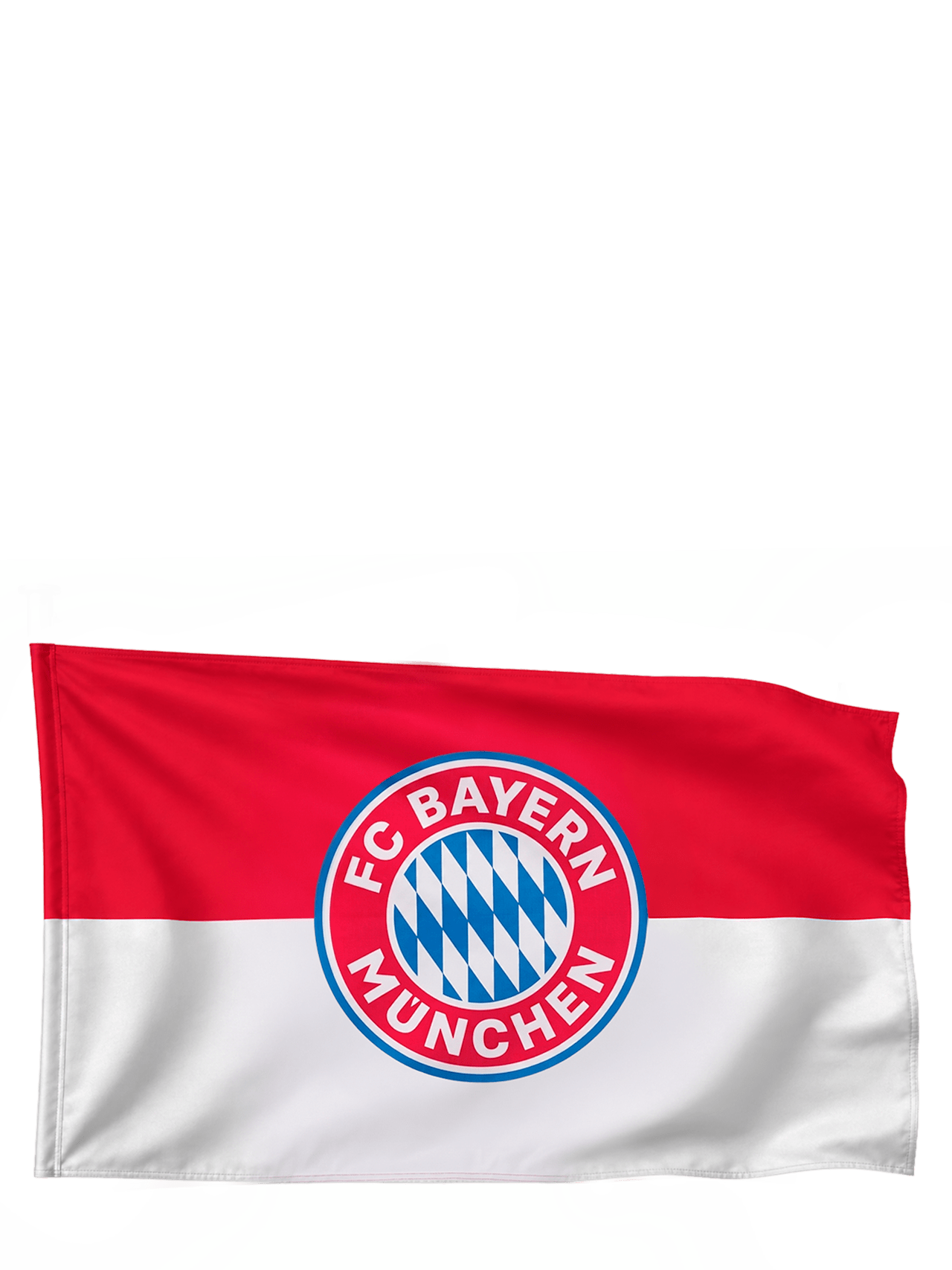 Flag Logo 250x150 cm 1