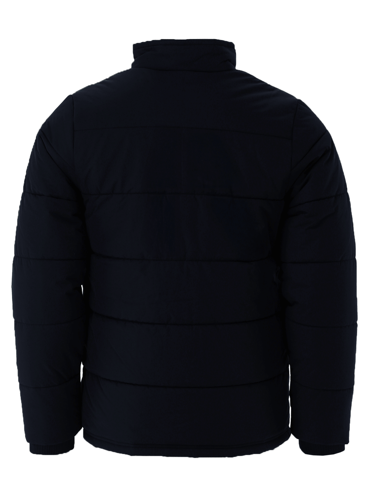 Winter Jacket Essentials detail 2
