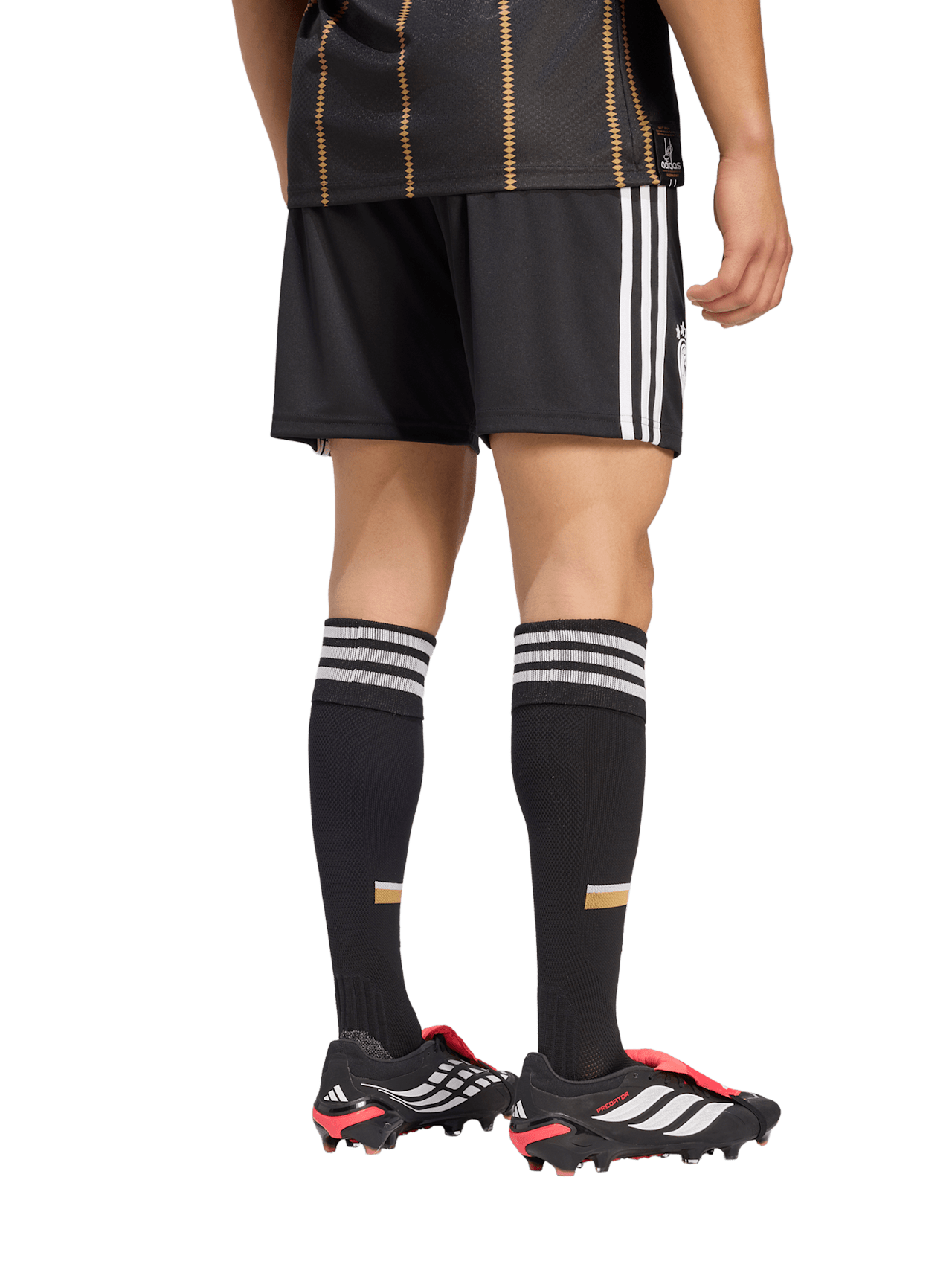 Short DFB 3rd detail 2