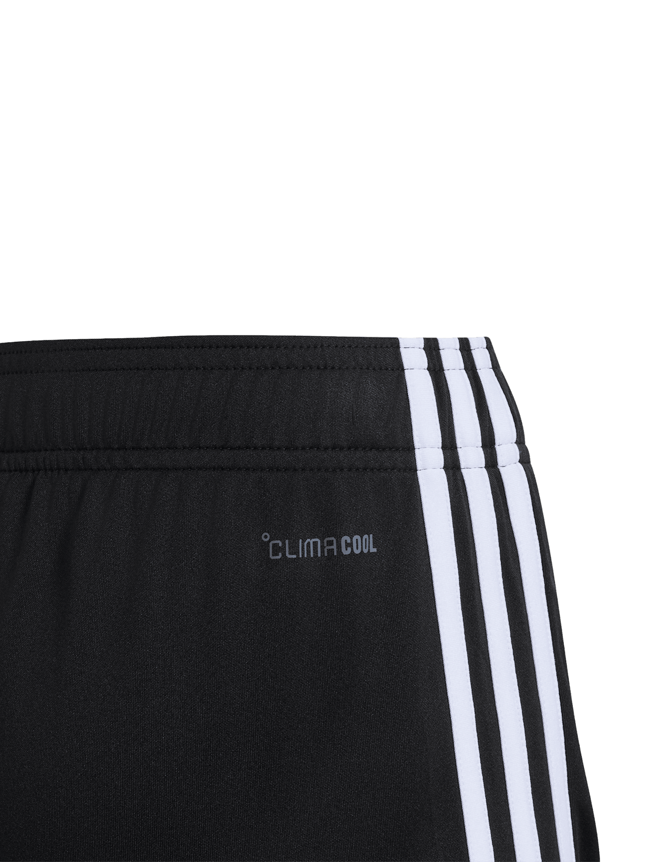 Short DFB 3rd detail 5