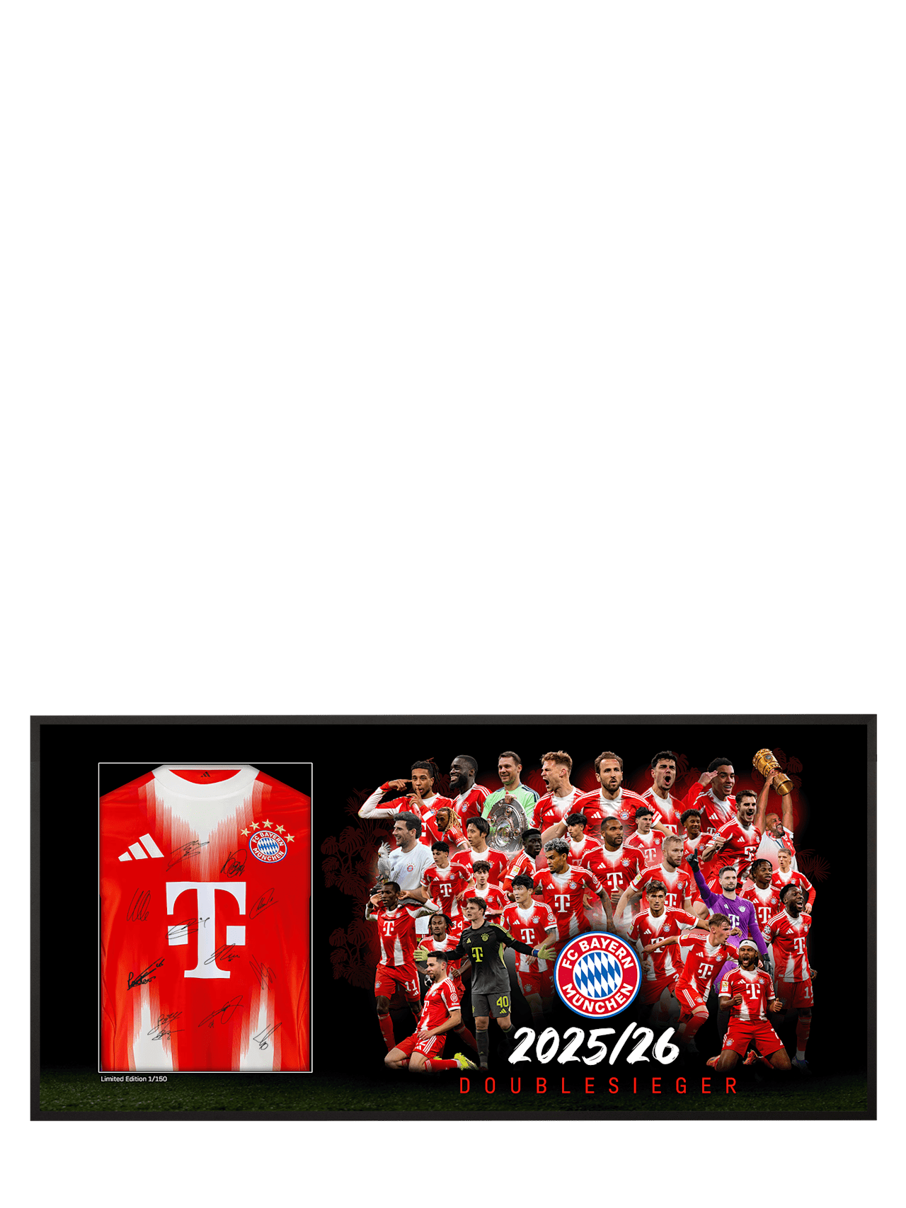 Trikotrahmen 2025/26 Doublesieger Limited Edition detail 1