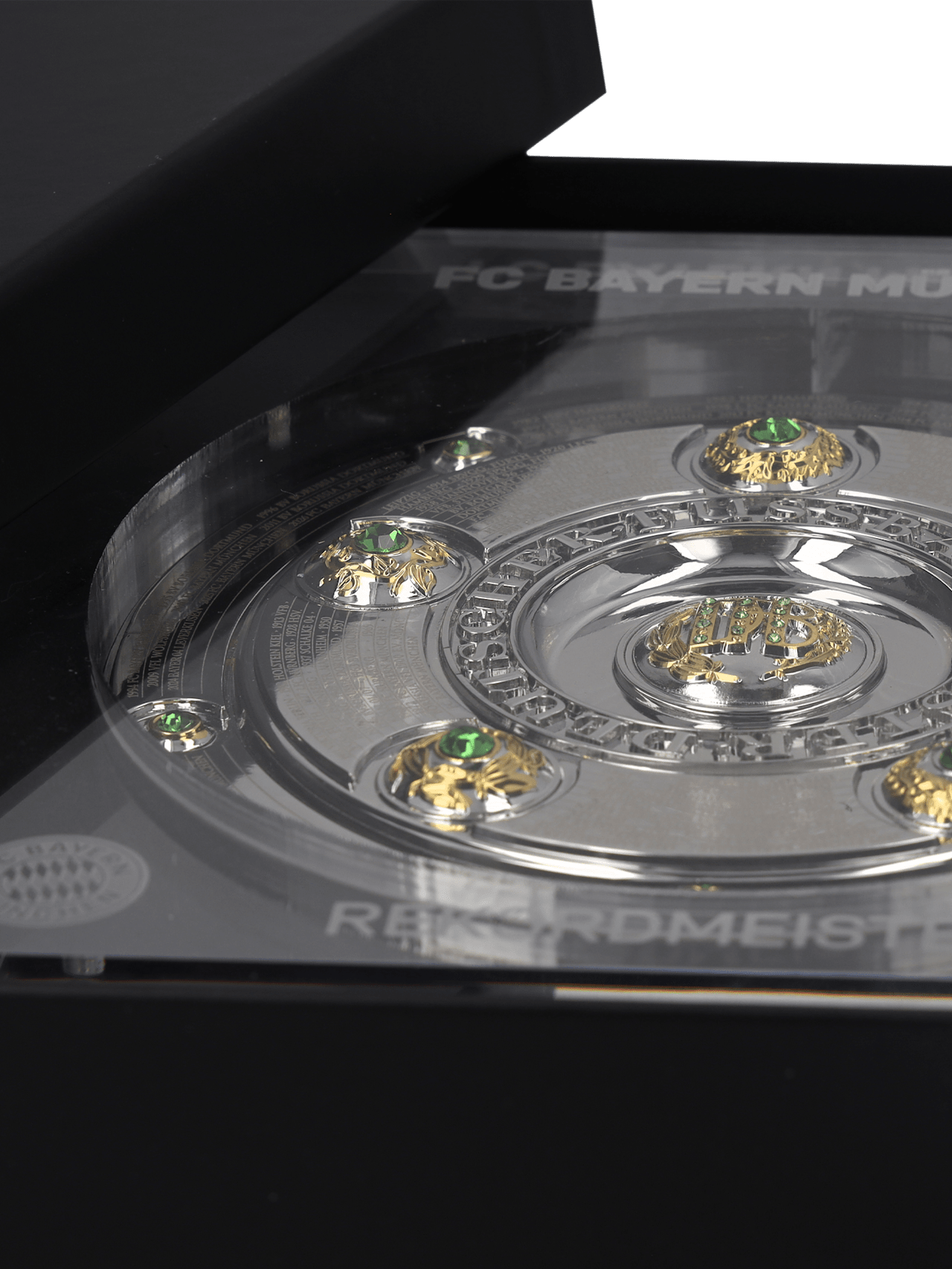 Championship Trophy 15 cm Record Champion detail 2