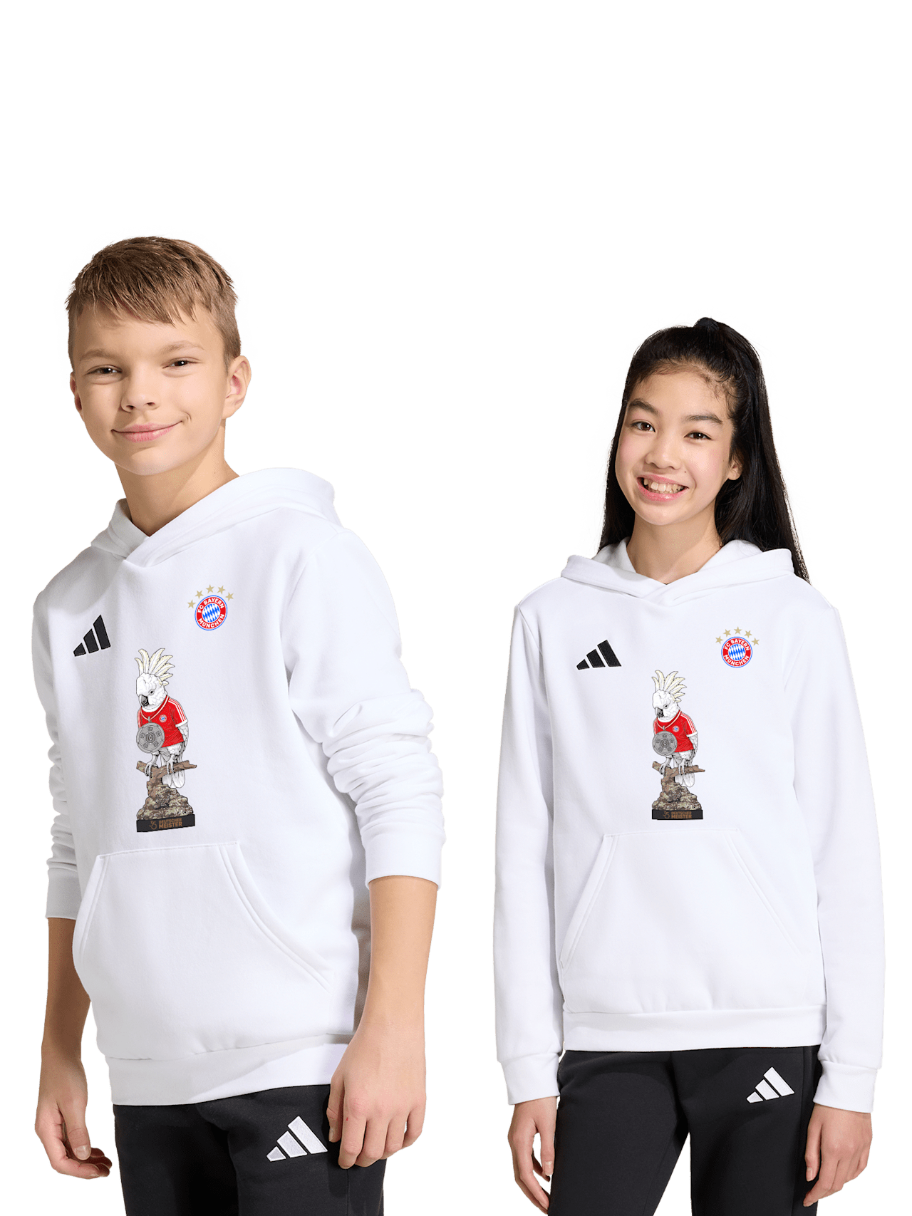 Hoodie Meister 2026 detail 3