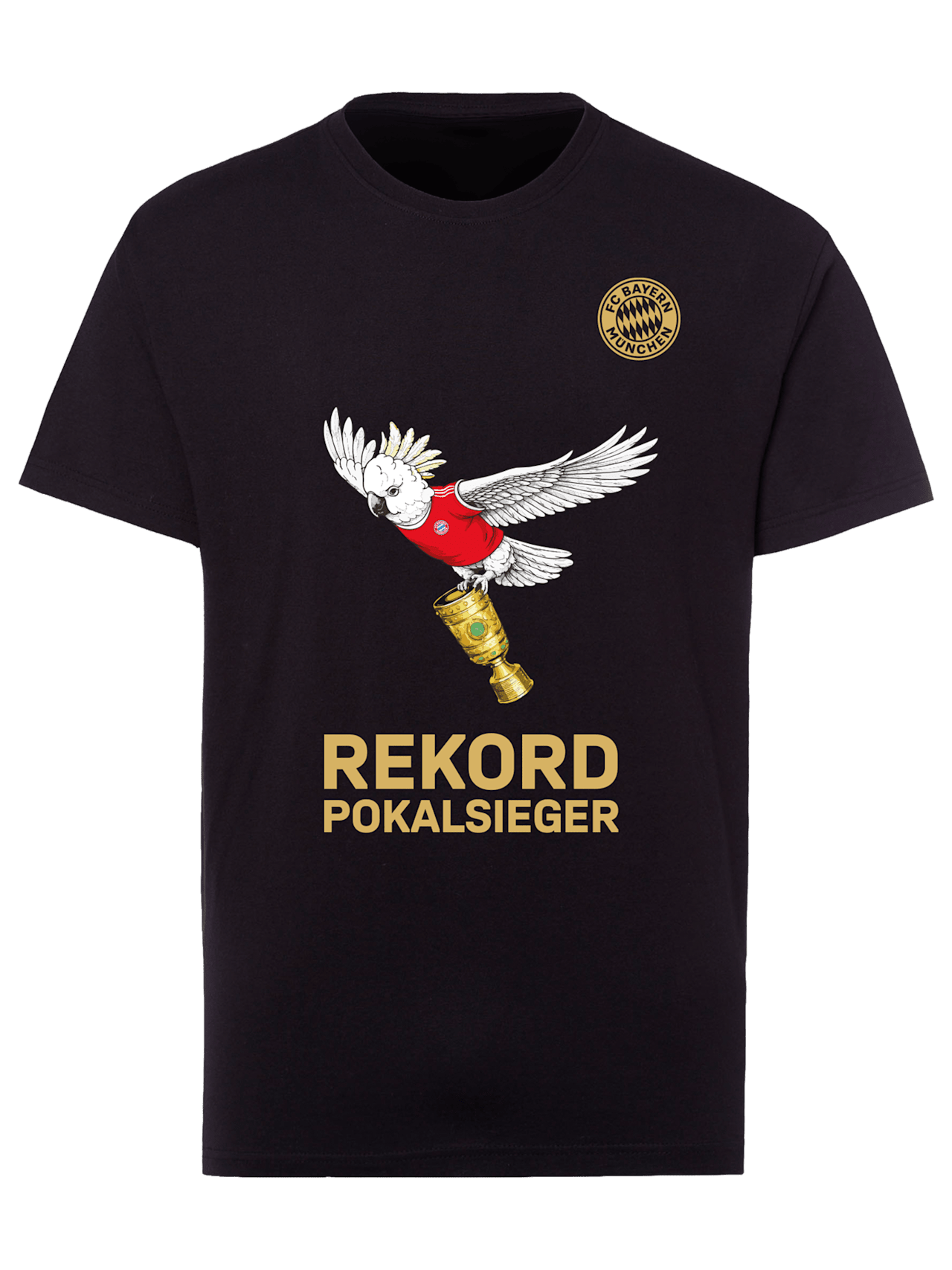 Hombres Camiseta Campeón de la Copa DFB 2026 1