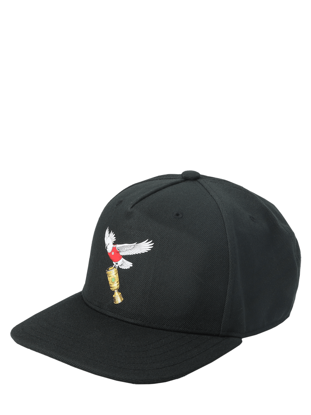 Gorra tipo béisbol Campeón de la Copa DFB 2026 detail 1