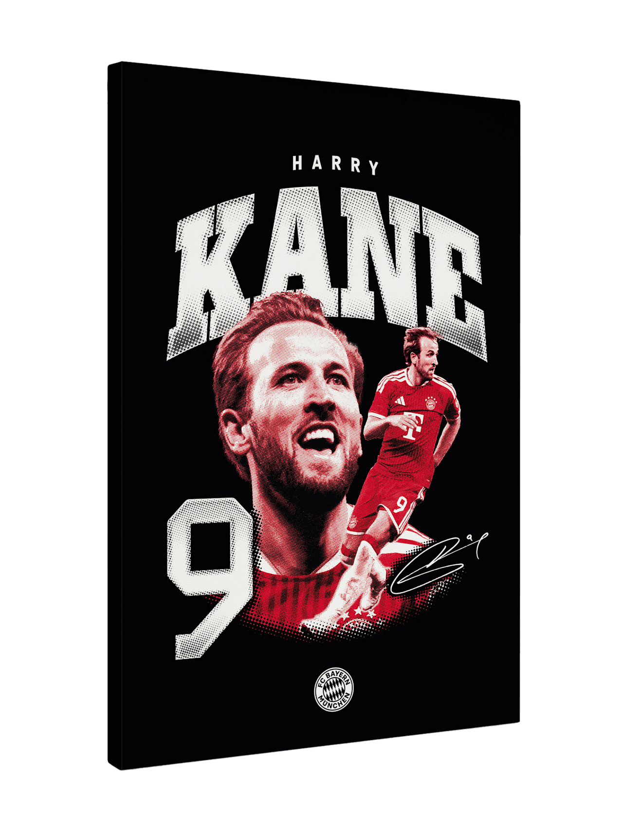 Harry Kane Leinwand Kane 40x60 cm 1