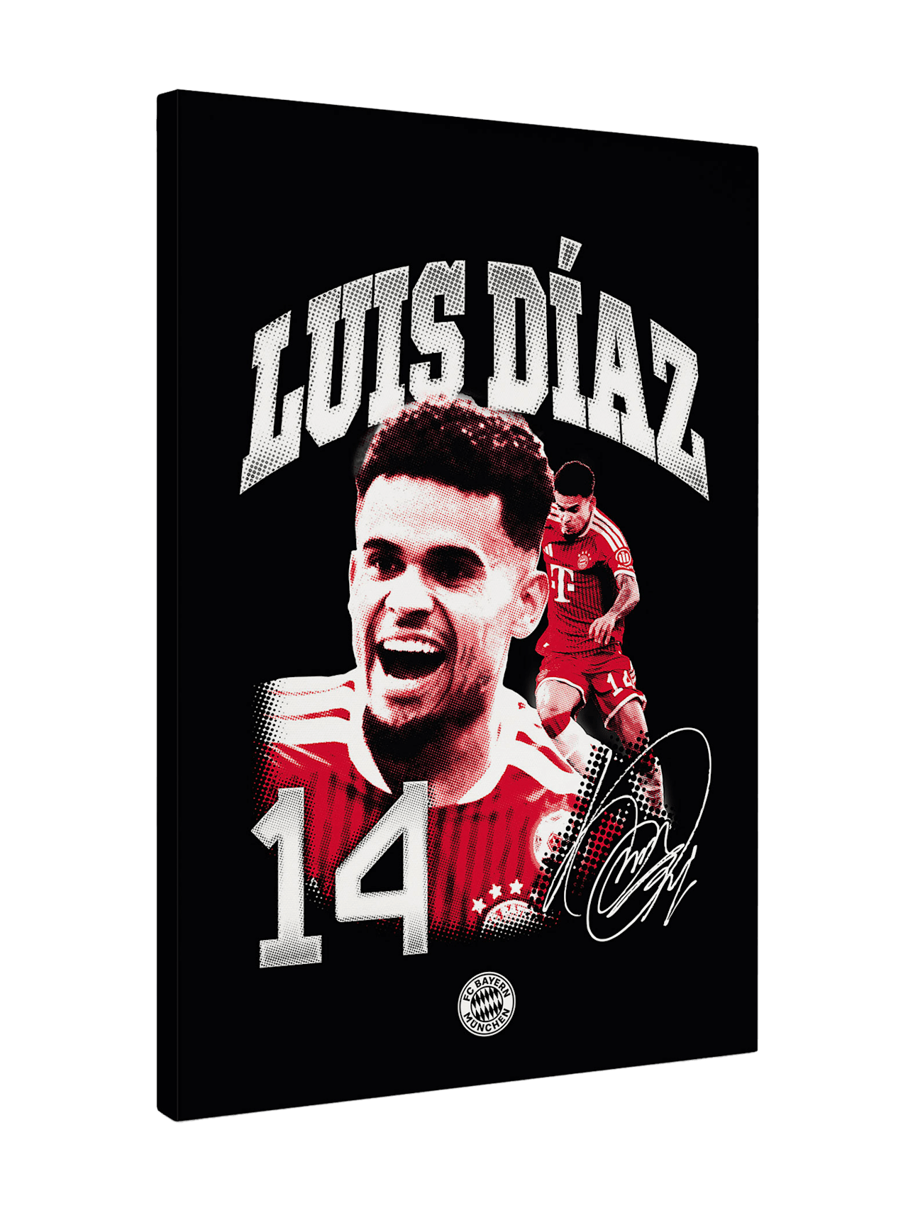 Leinwand Luis Díaz 40x60 cm 1