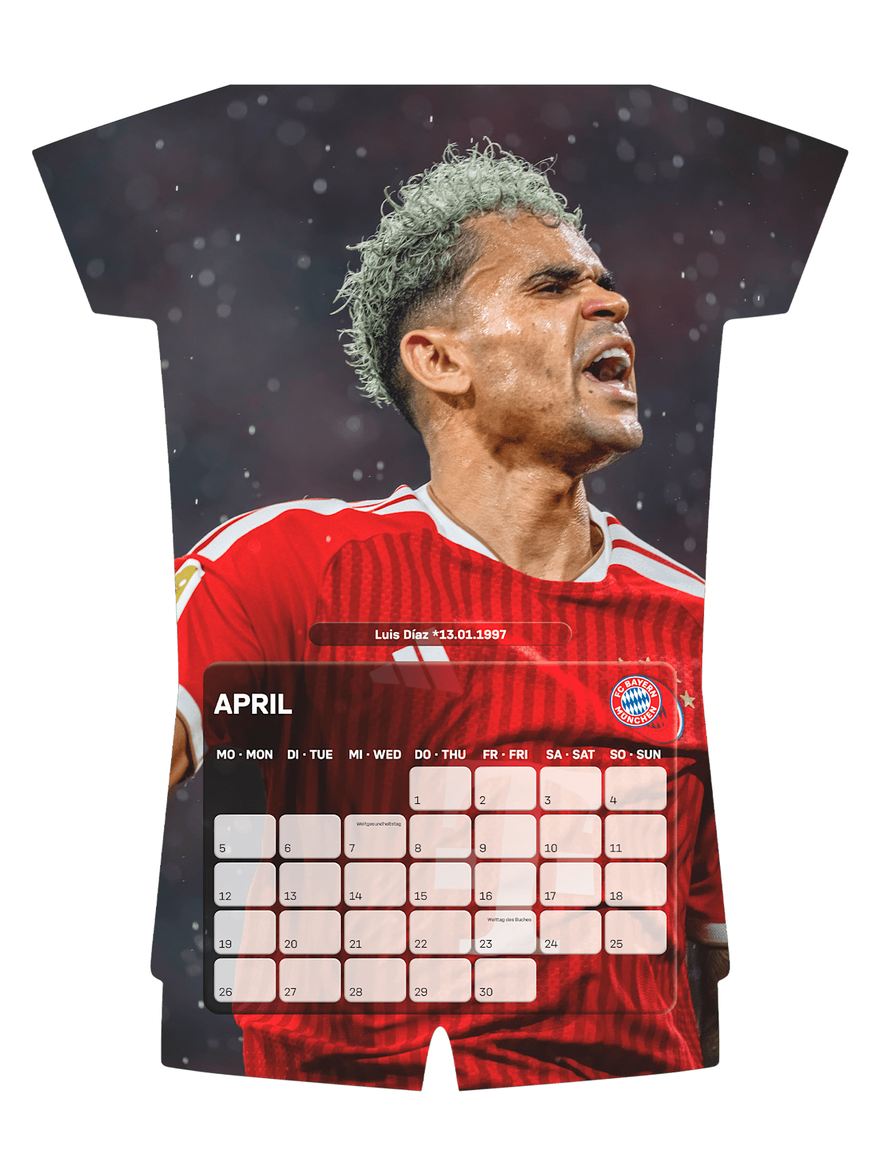 Trikotkalender 2027 detail 3