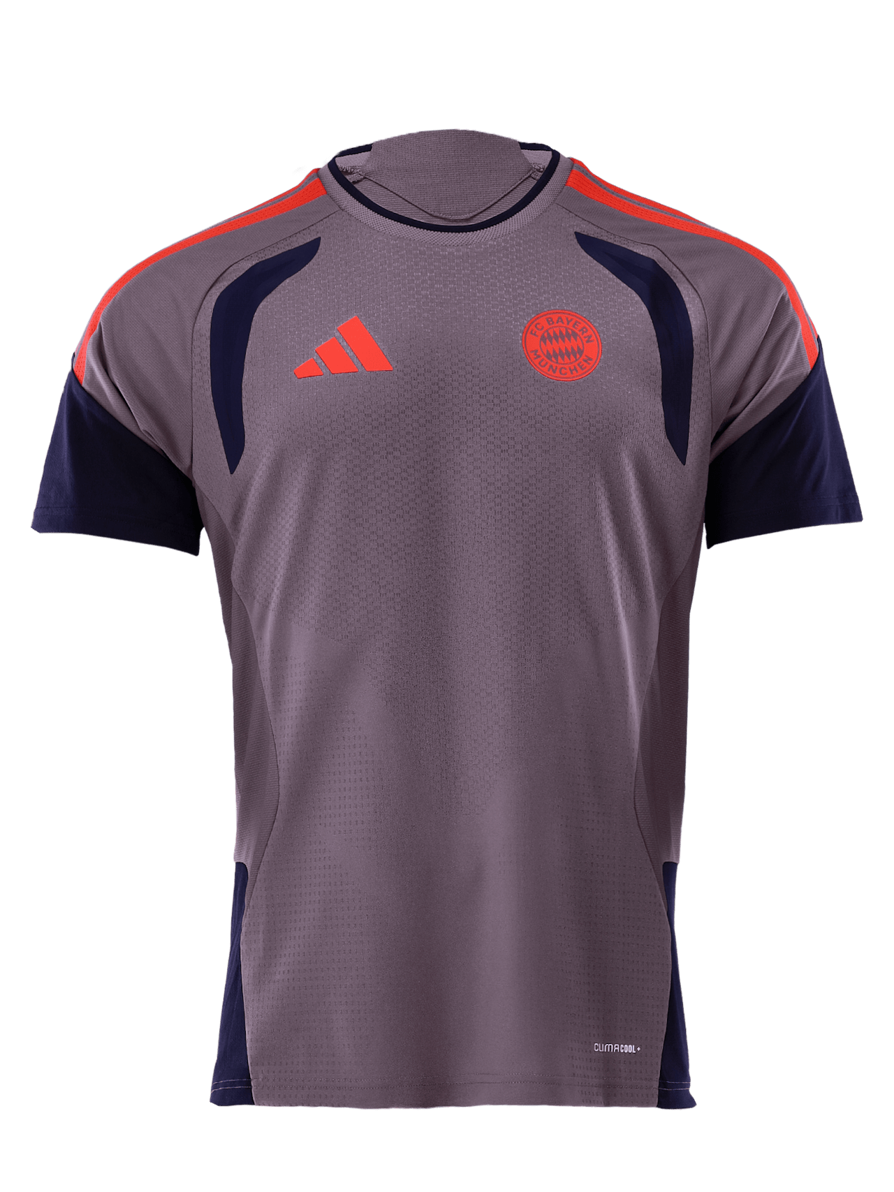 Authentic Trainingsshirt UCL Teamline detail 2