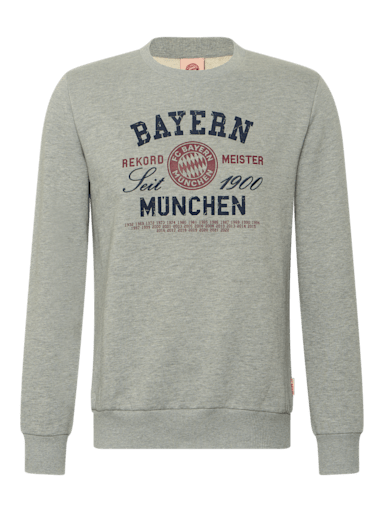 Champion sweatshirt in store clearance