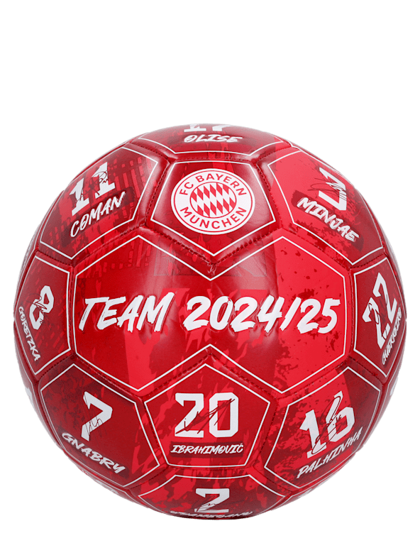 Ball Signature 2024-25 1