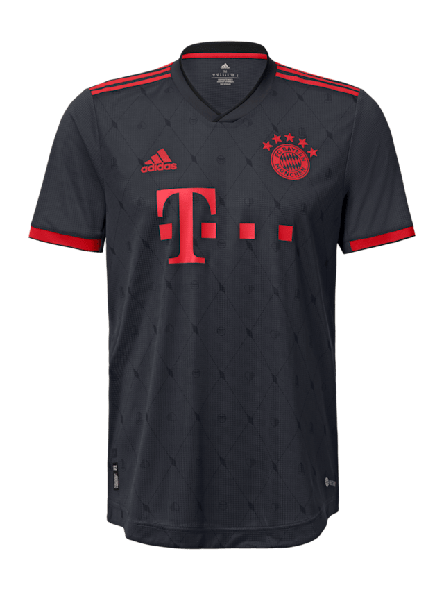 Men Authentic shirt UCL 22-23 gray | Official FC Bayern Munich Store