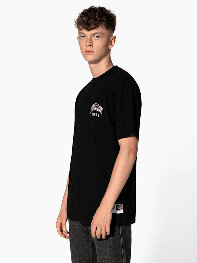 1 3 Working Days Meaning In Hindi